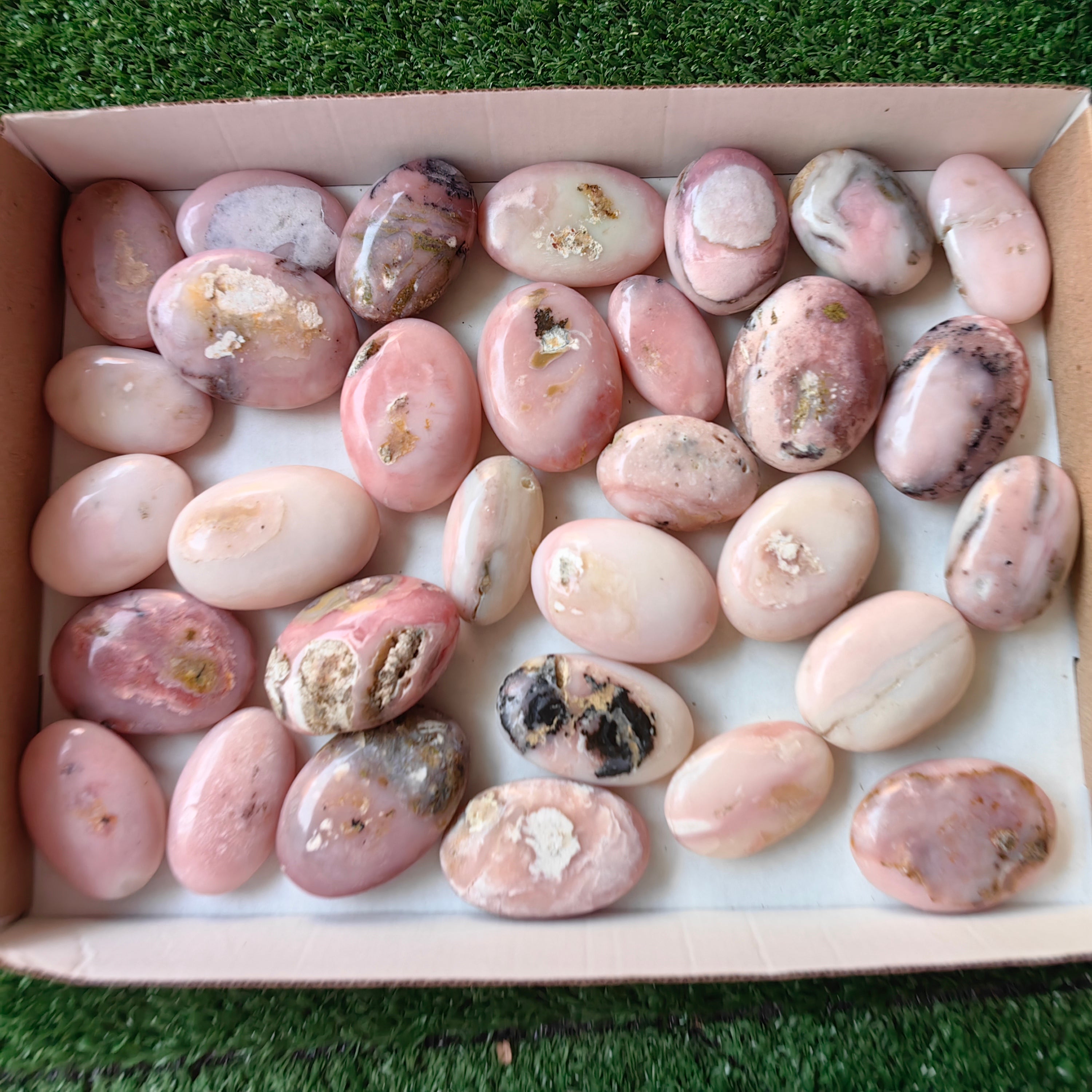 31 pc pink opal palms