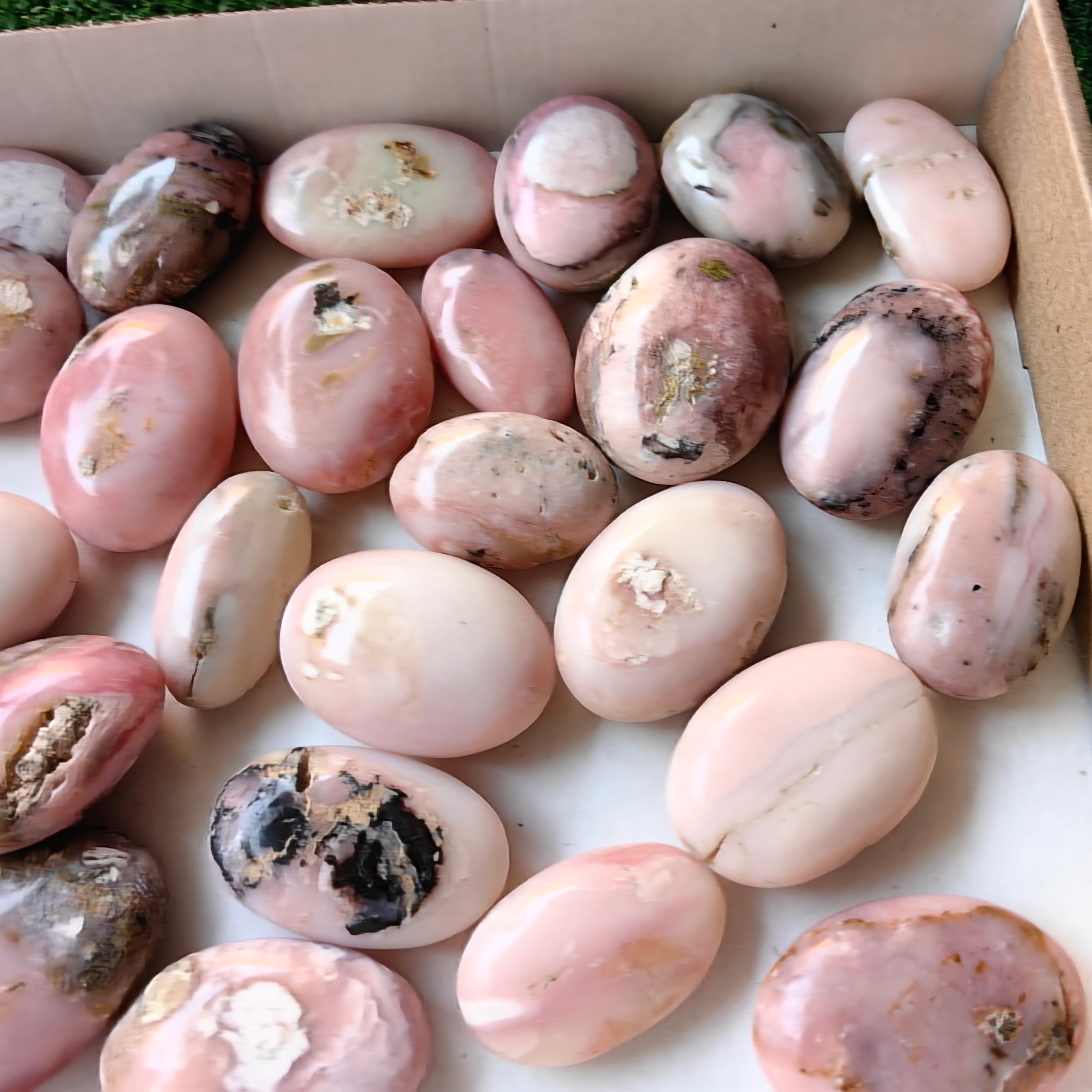 31 pc pink opal palms