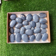 27 pc blue angelite palms