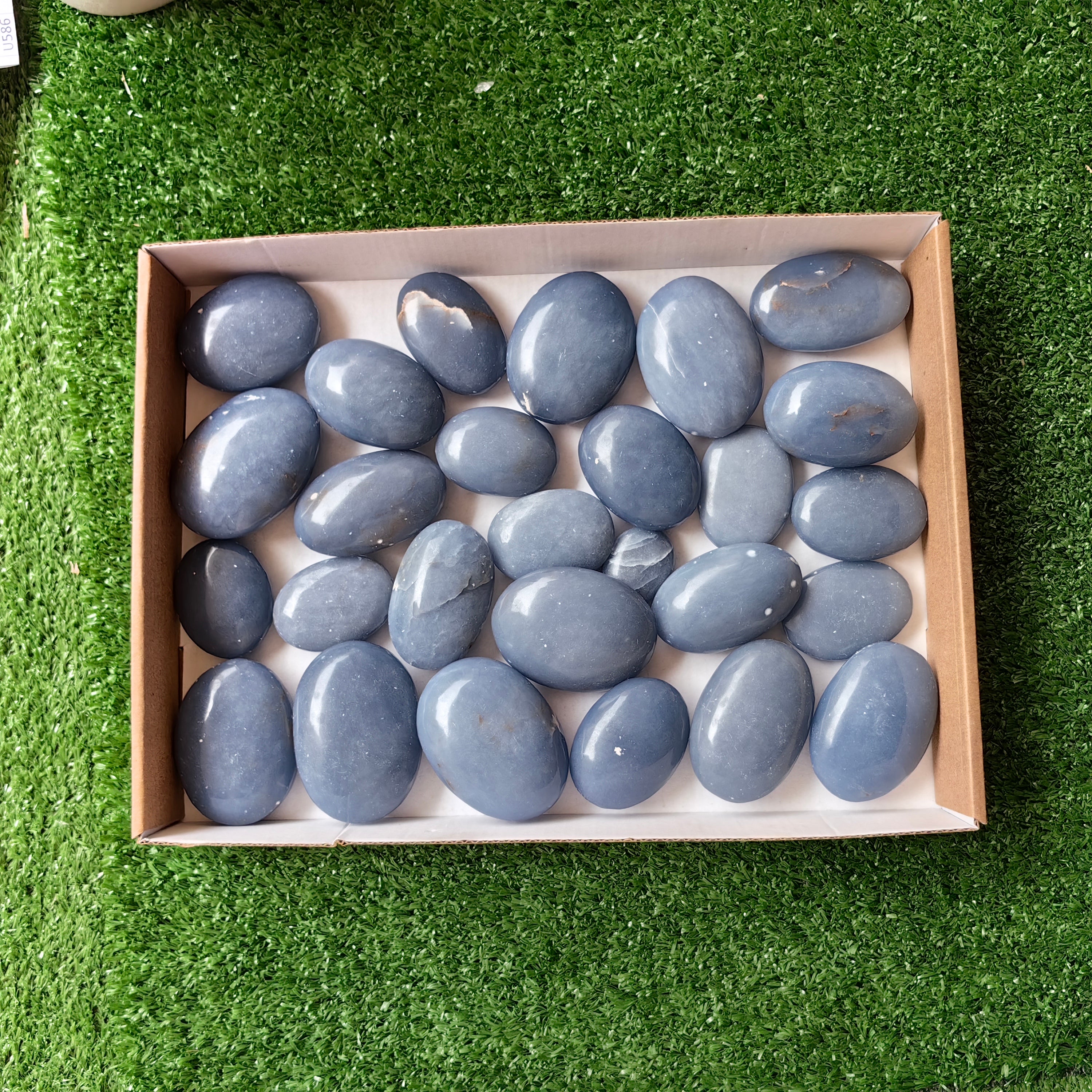 27 pc blue angelite palms