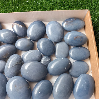 27 pc blue angelite palms