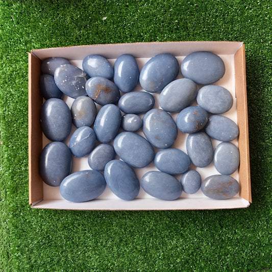 30 pc blue angelite palms