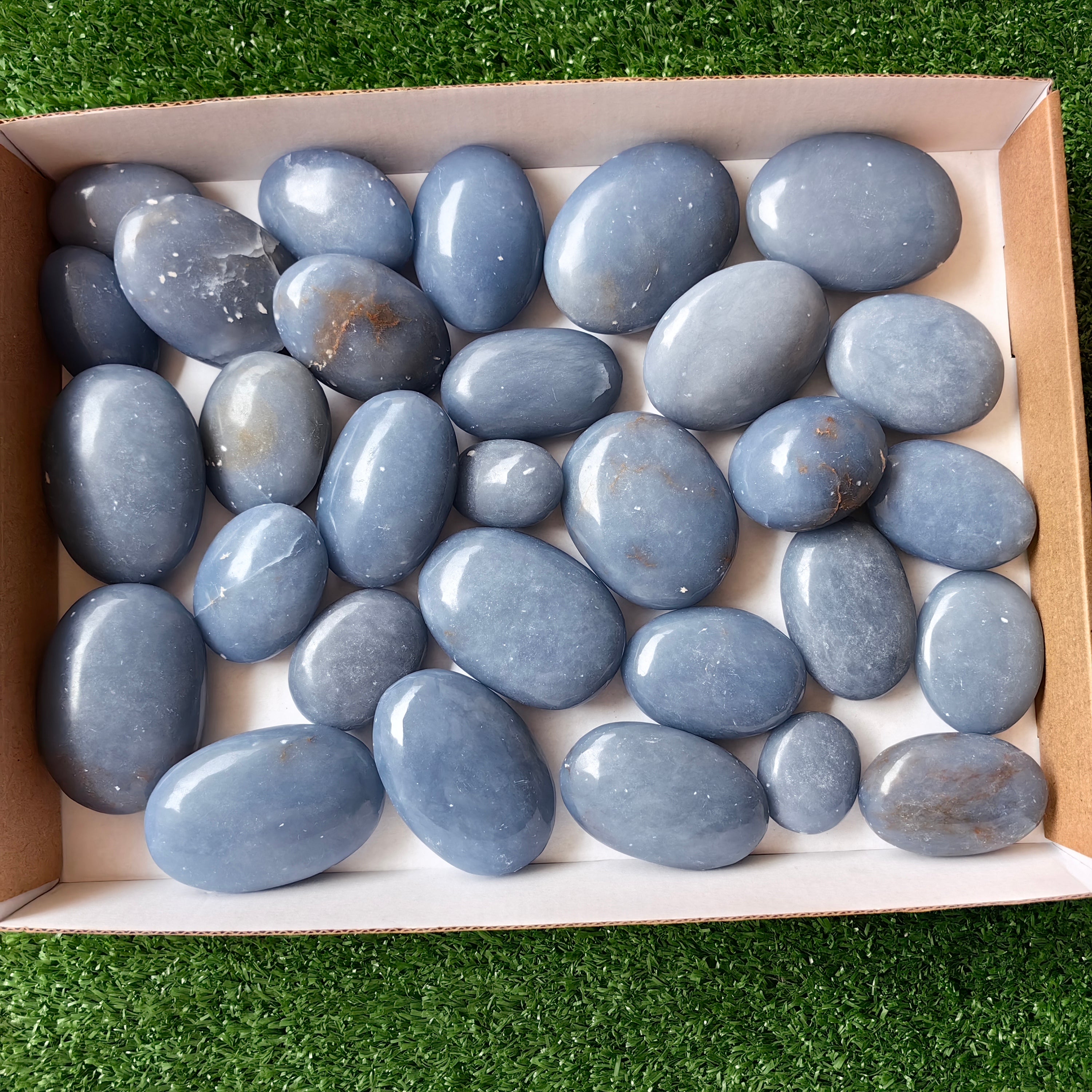 30 pc blue angelite palms