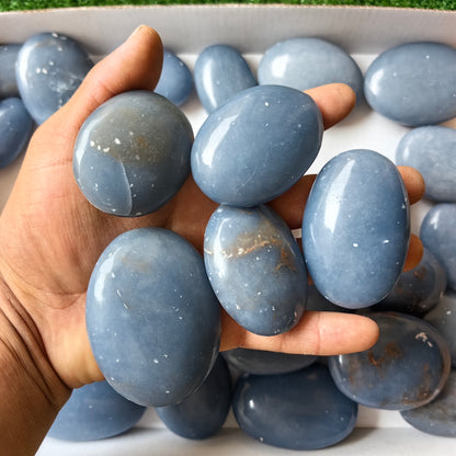 30 pc blue angelite palms