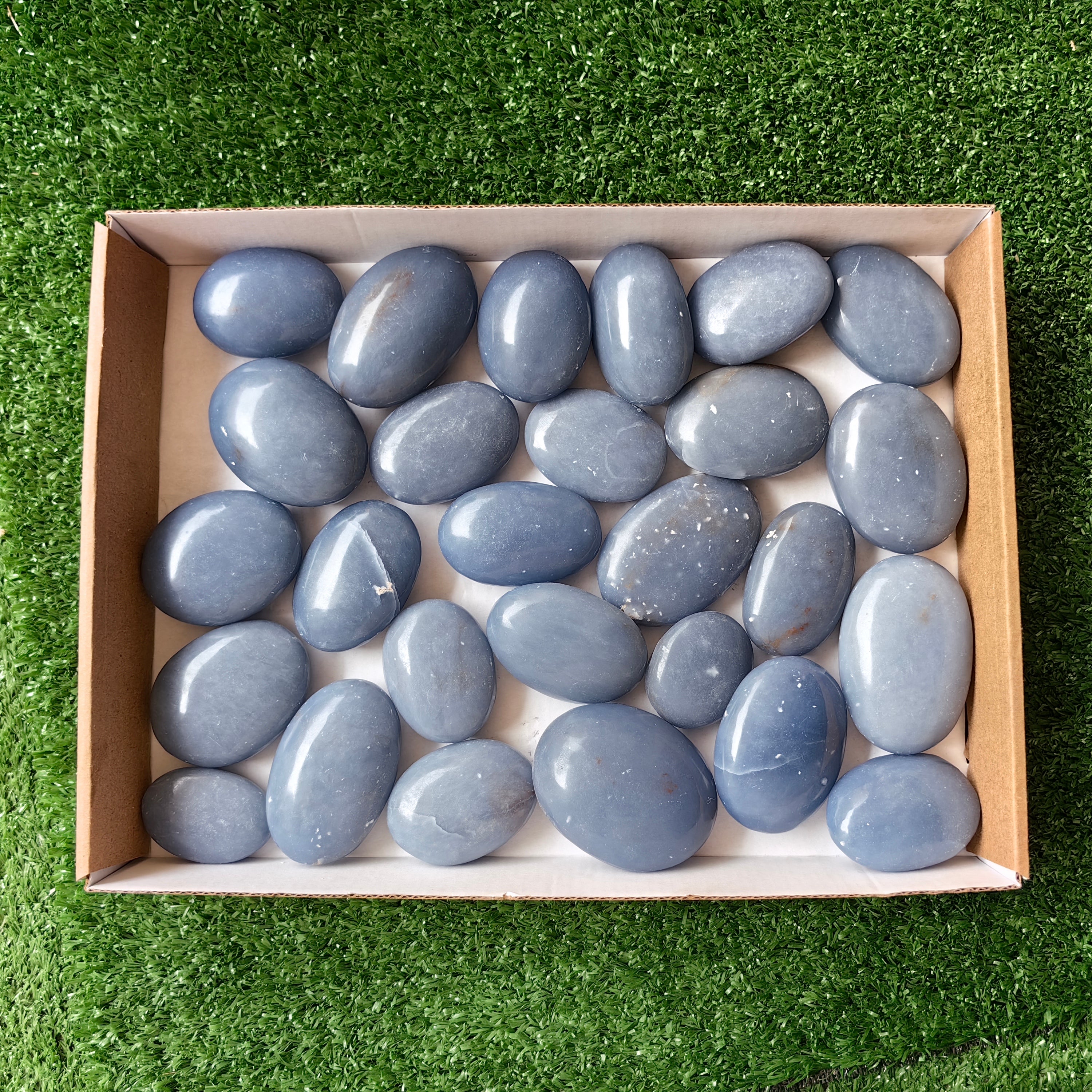 27 pc blue angelite palms
