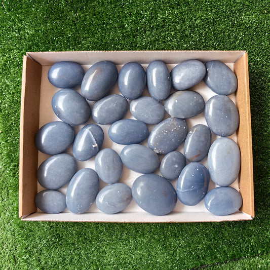 27 pc blue angelite palms