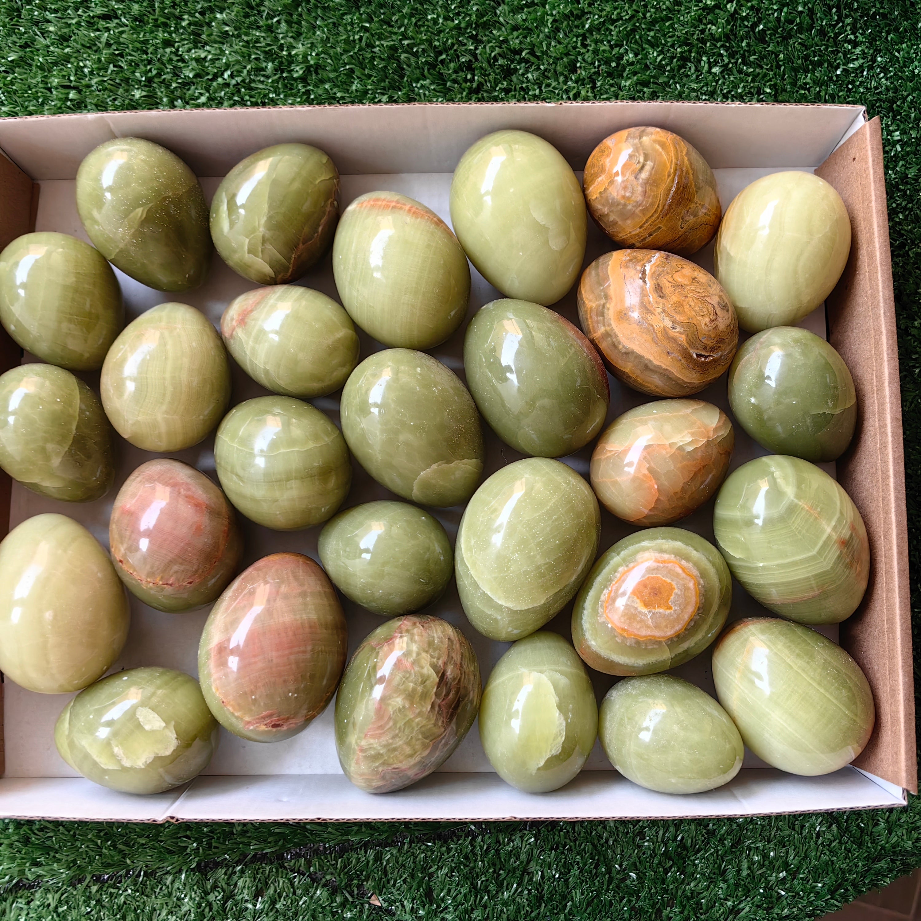28 pc green onix eggs