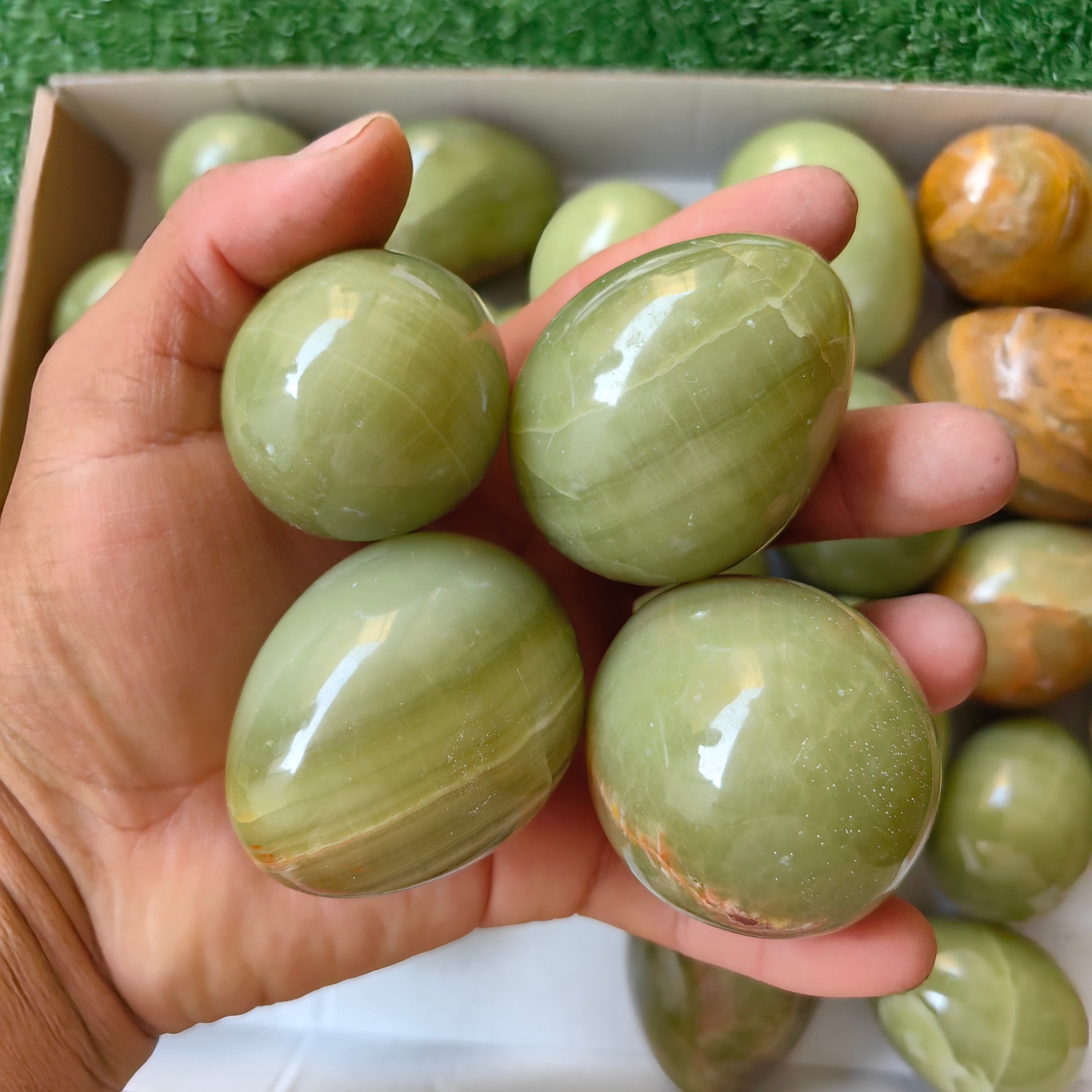 28 pc green onix eggs