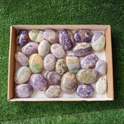 26 pc bolivianite palms