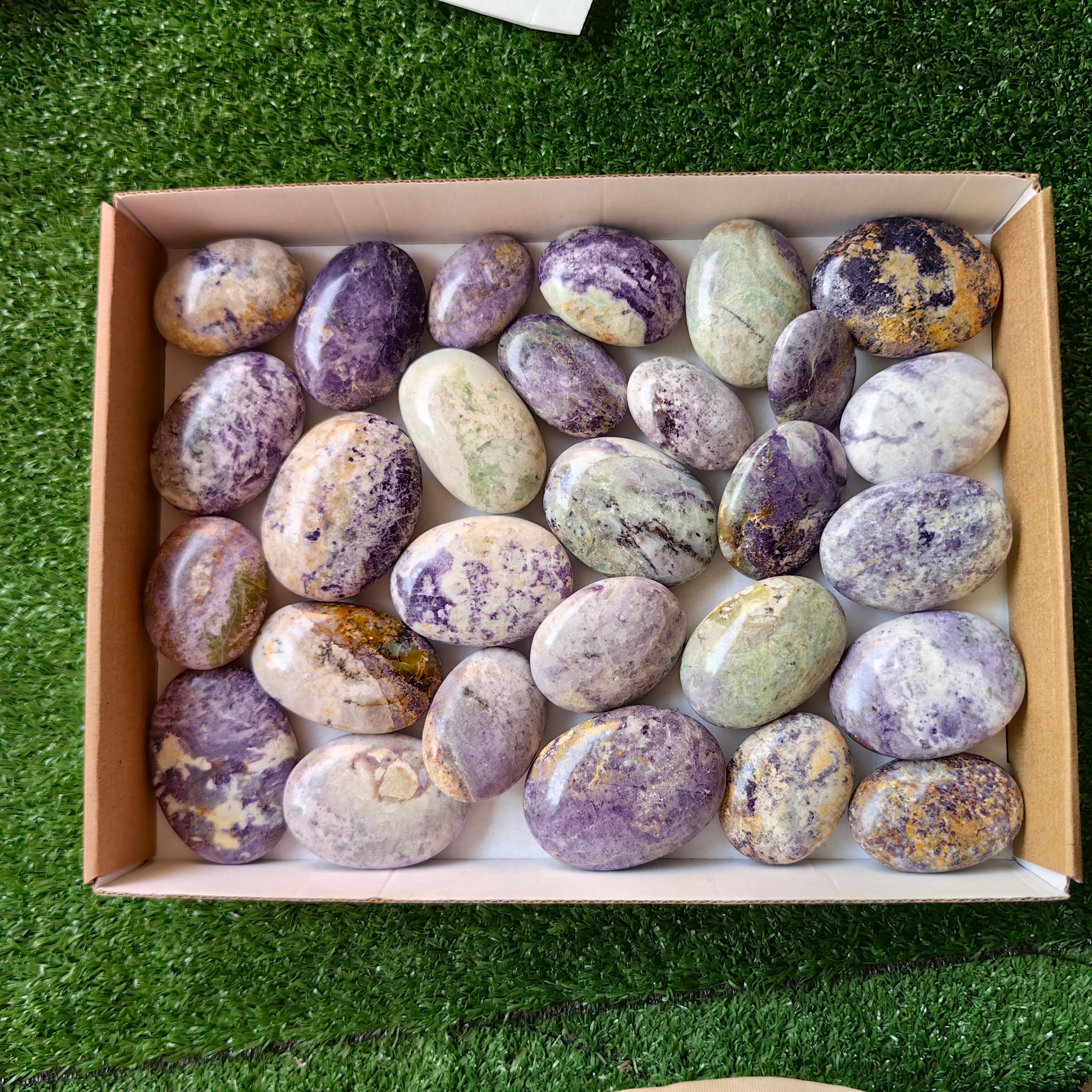 28 pc bolivianite palms