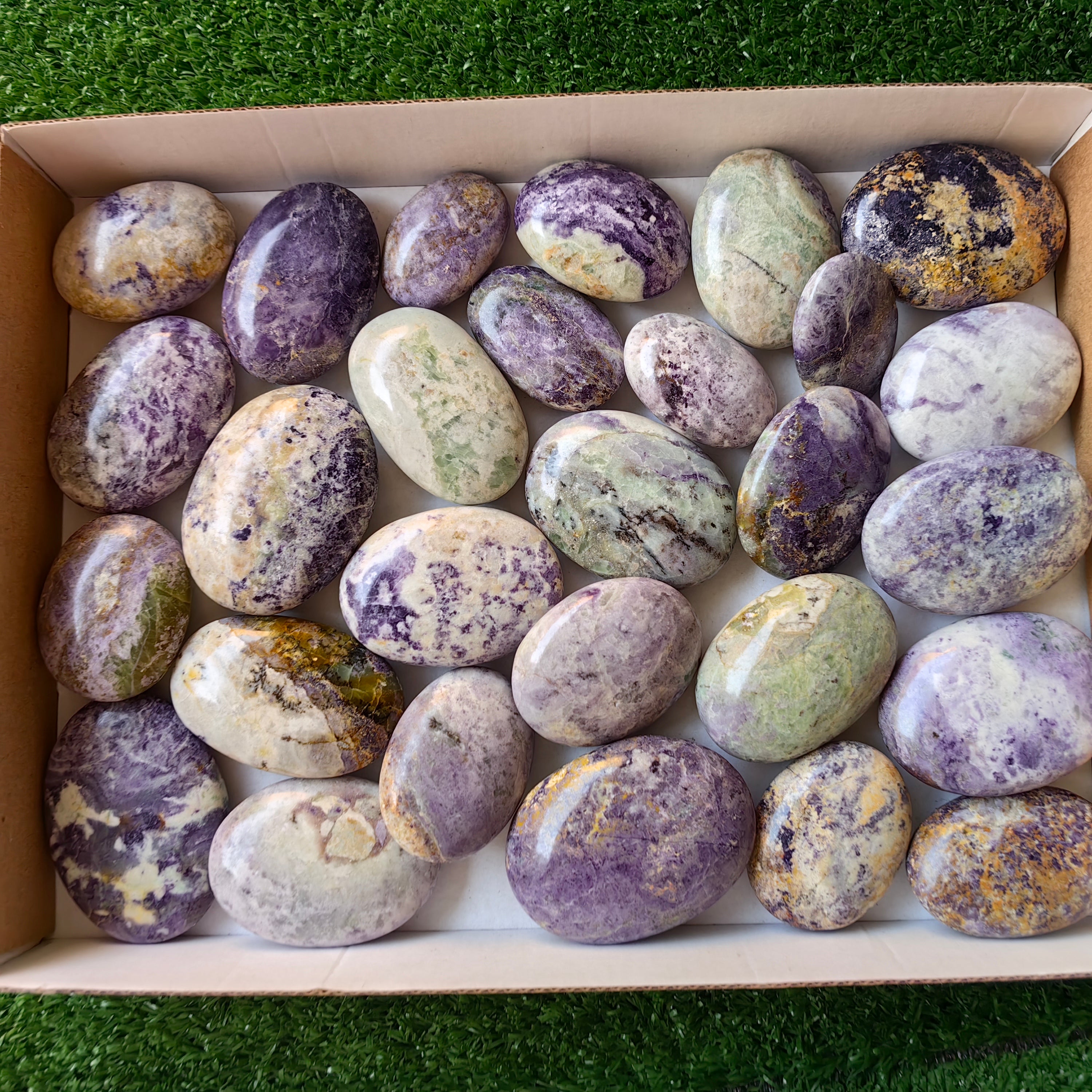 28 pc bolivianite palms