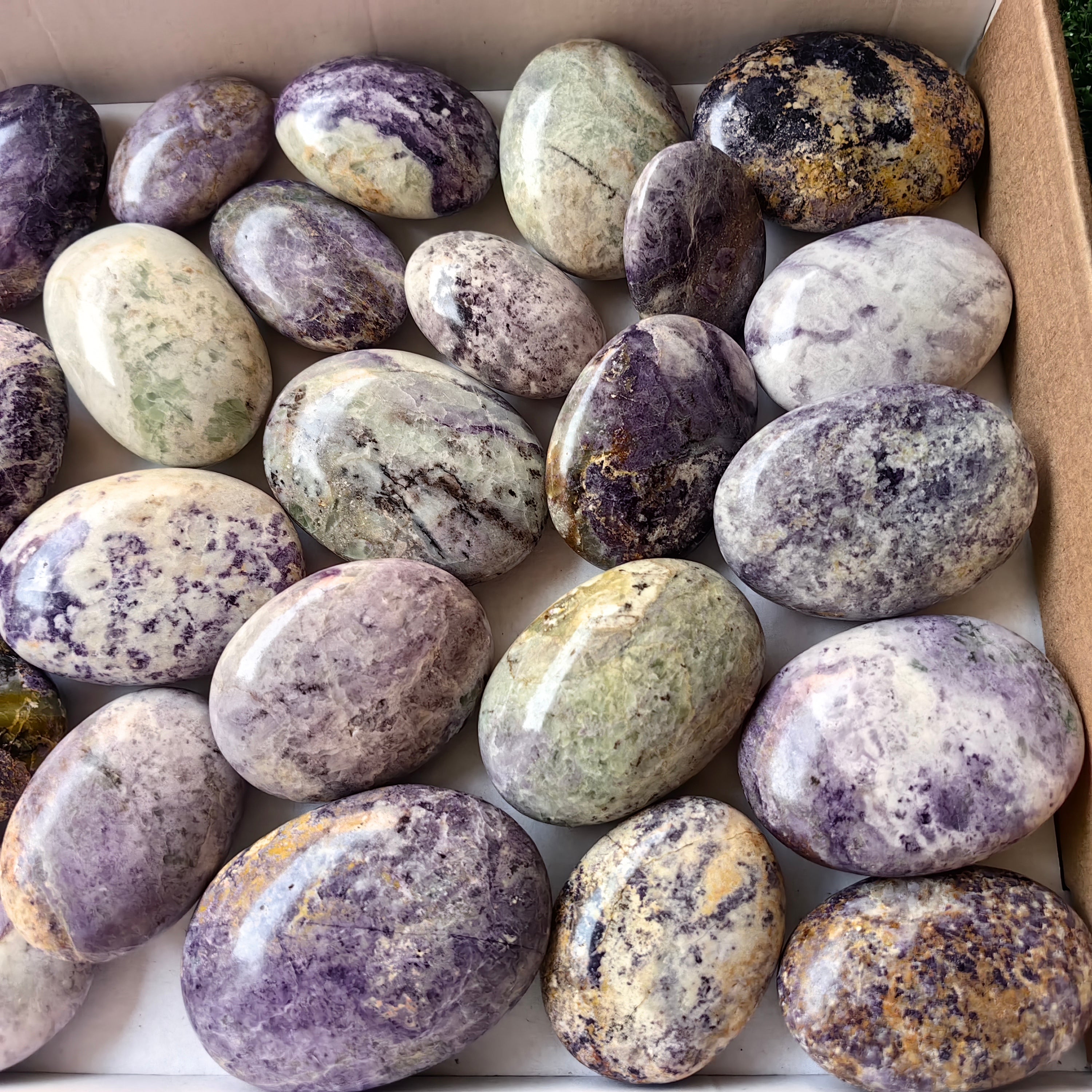 28 pc bolivianite palms