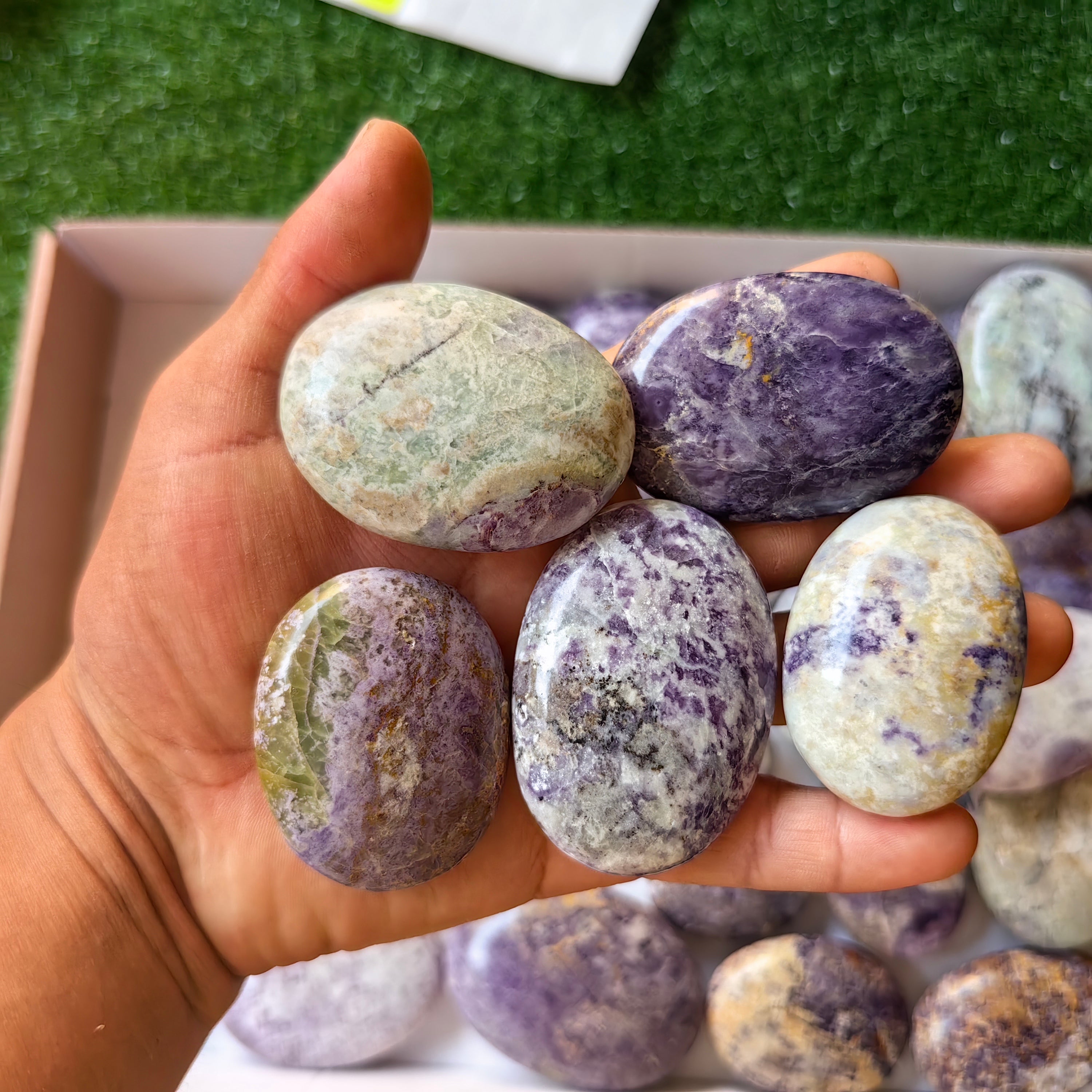 28 pc bolivianite palms