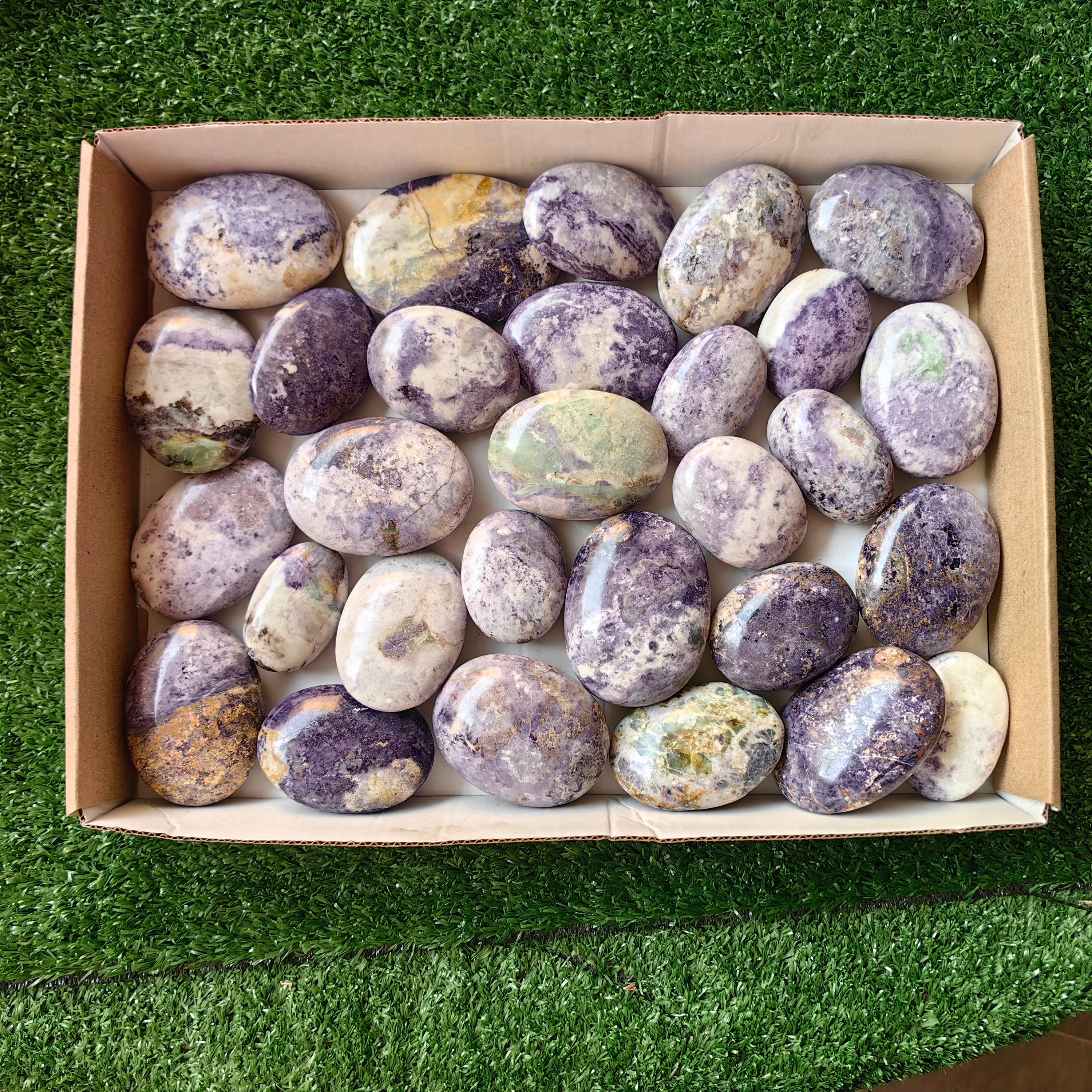 29 pc bolivianite palms