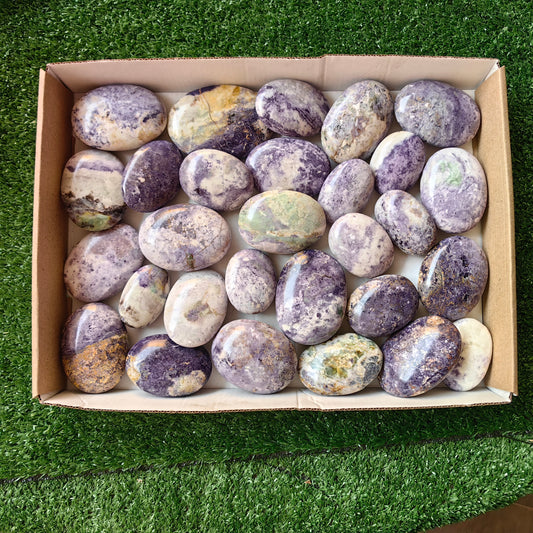 29 pc bolivianite palms