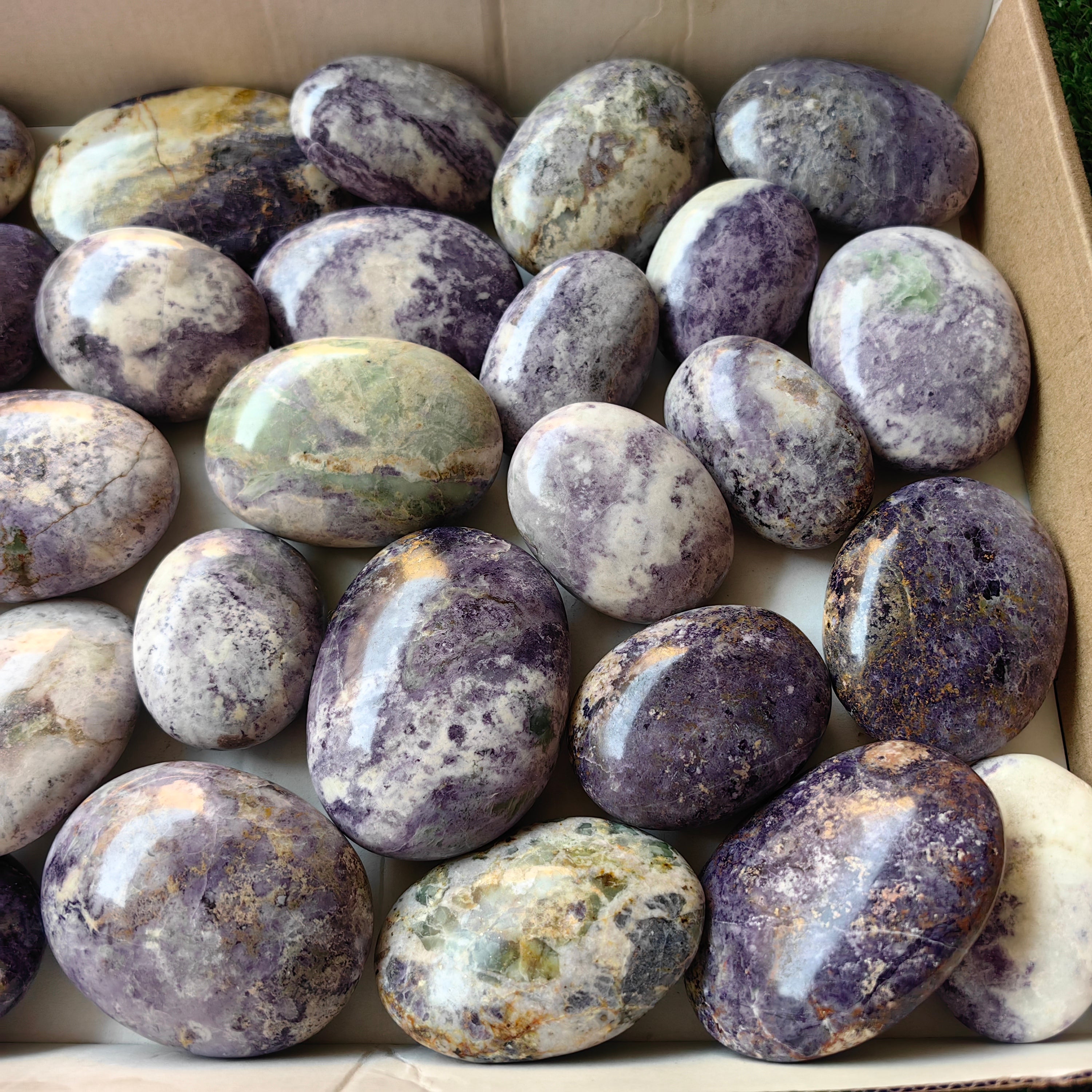 29 pc bolivianite palms