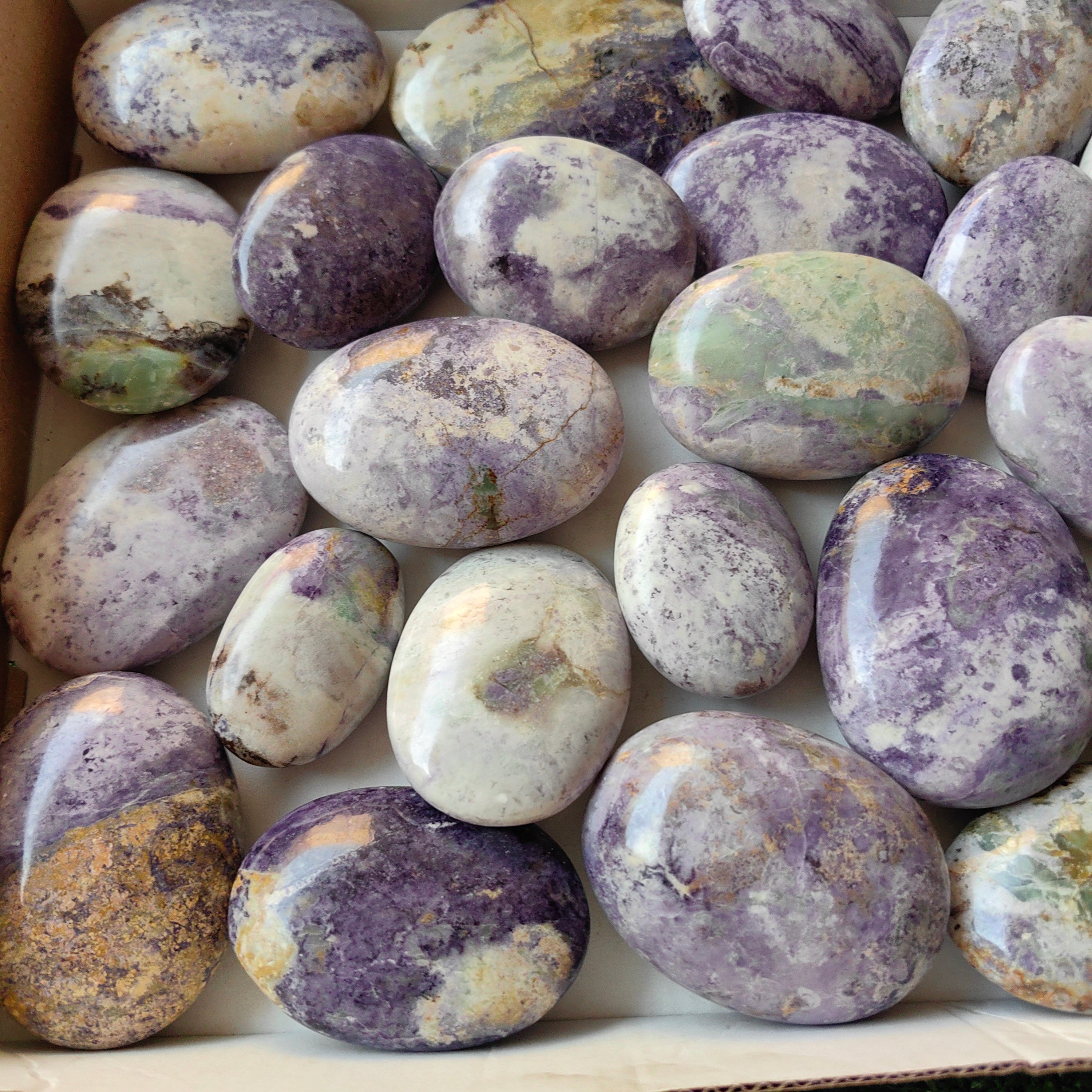 29 pc bolivianite palms