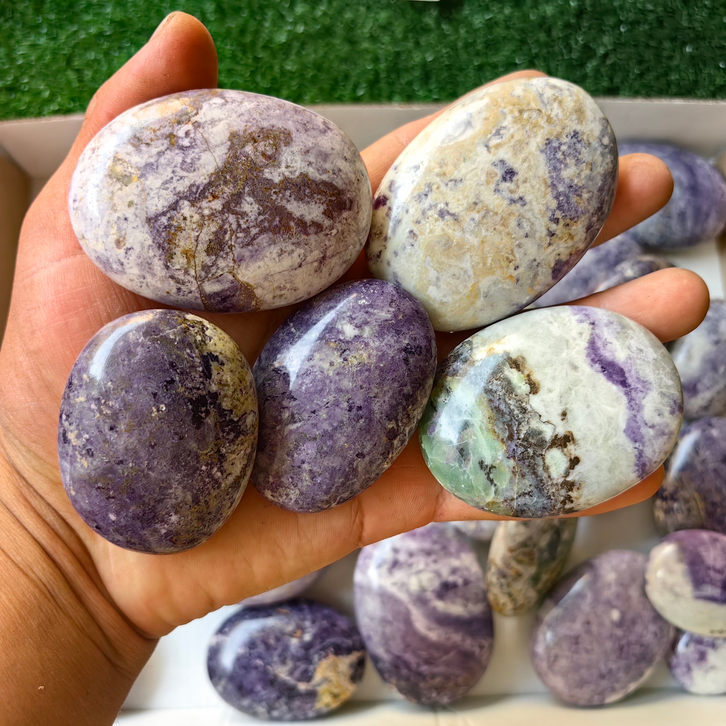 29 pc bolivianite palms