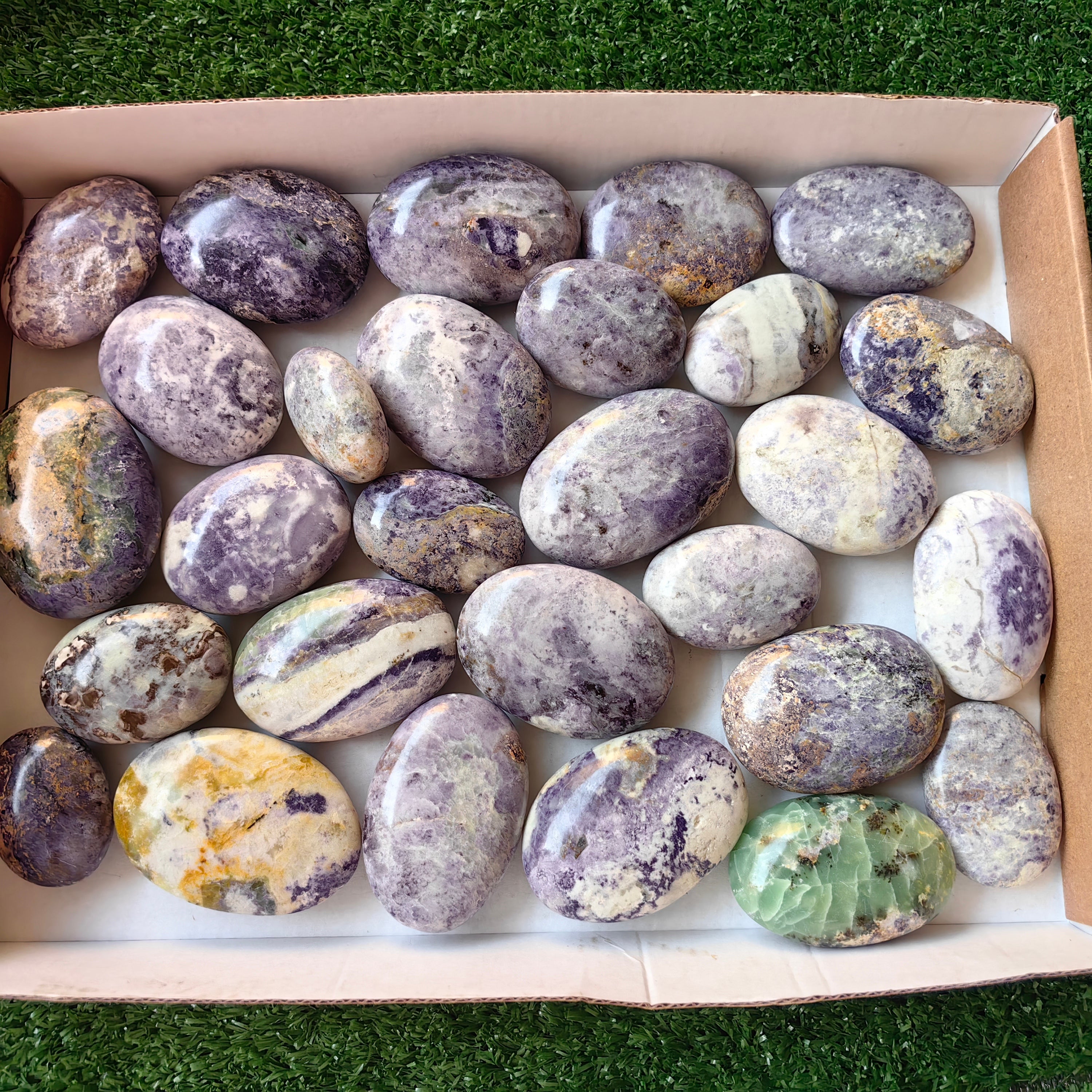 28 pc bolivianite palms