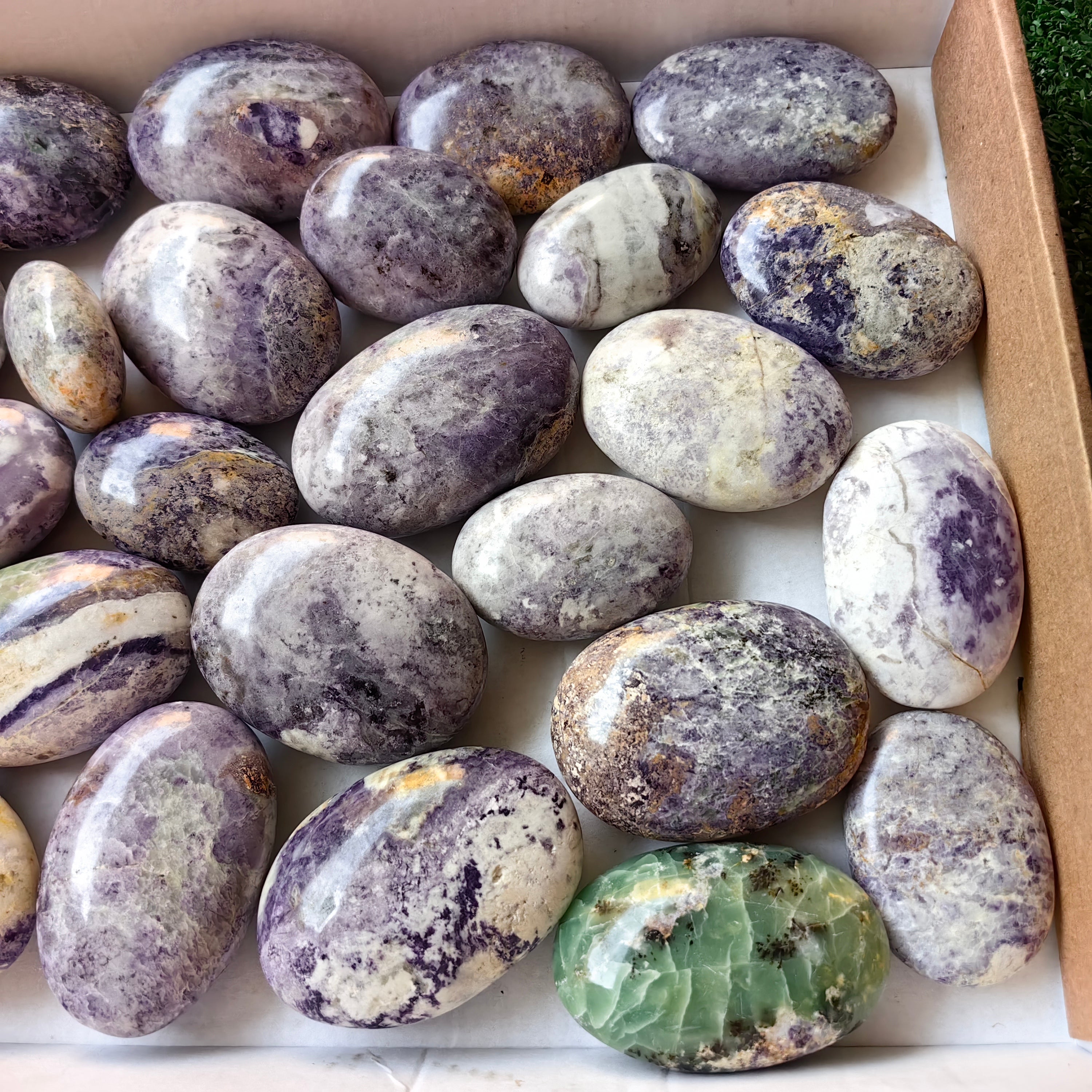 28 pc bolivianite palms