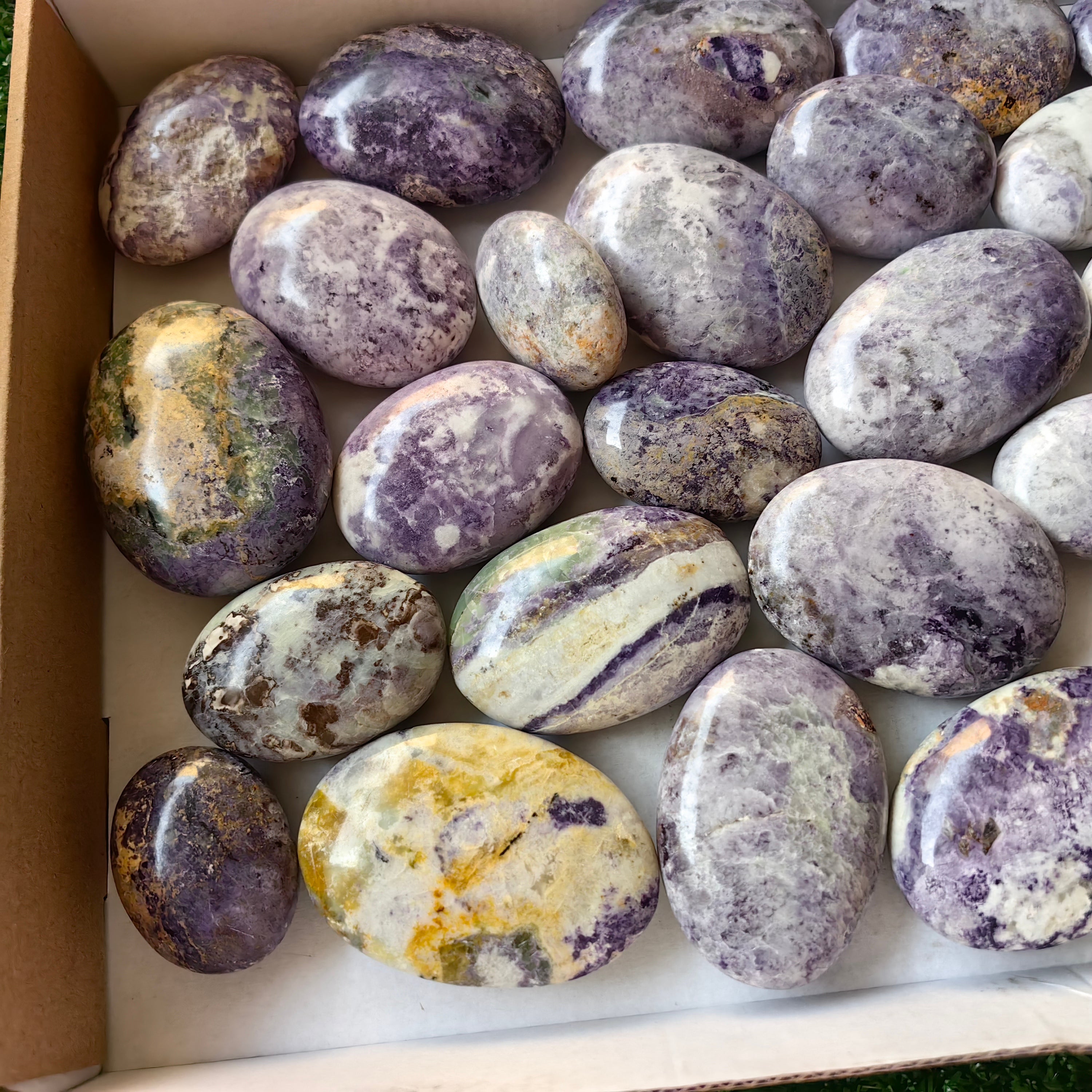 28 pc bolivianite palms
