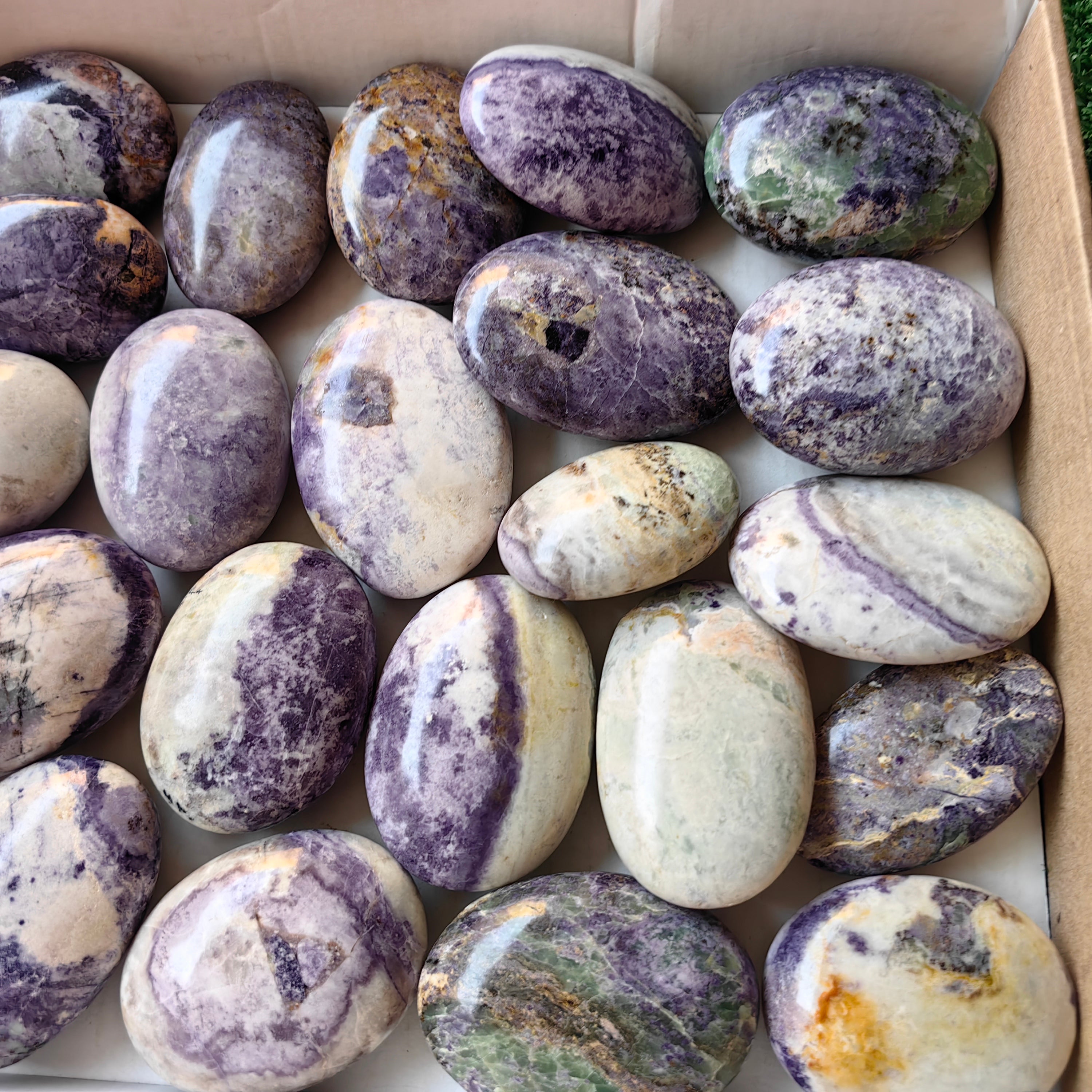 27 pc bolivianite palms
