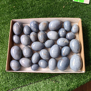 31 pc blue angelite eggs