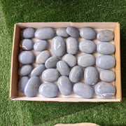 31 pc blue angelite palms