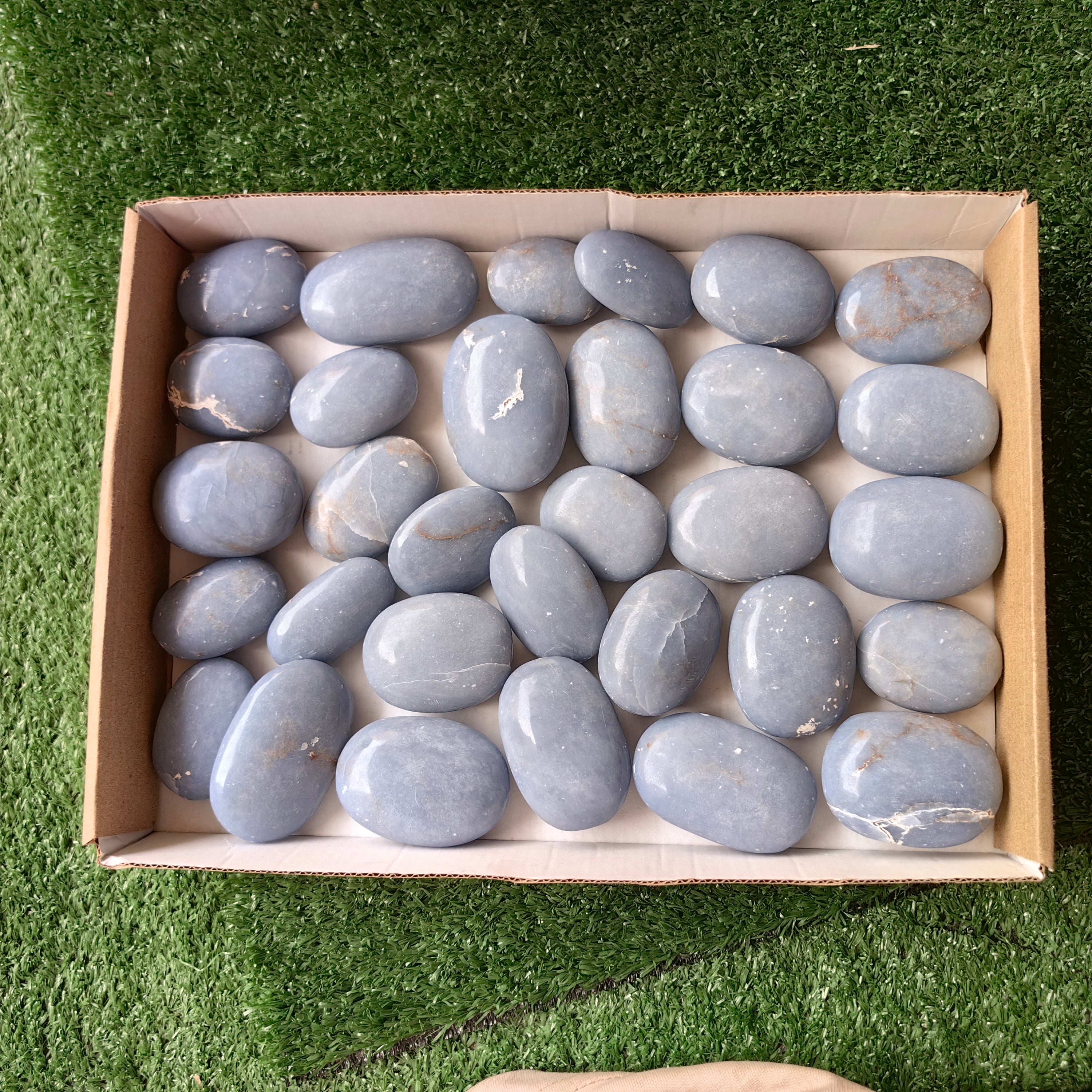31 pc blue angelite palms