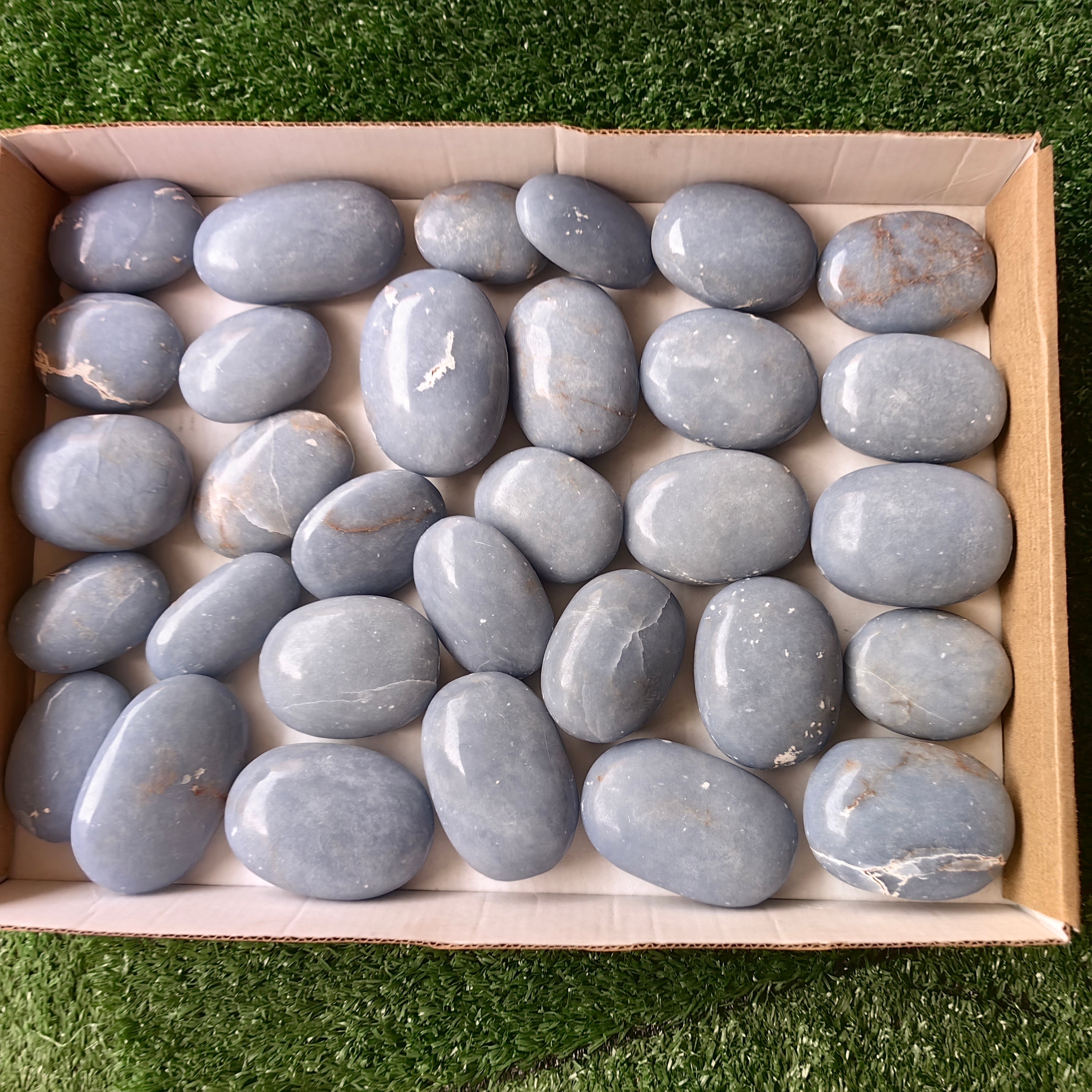 31 pc blue angelite palms