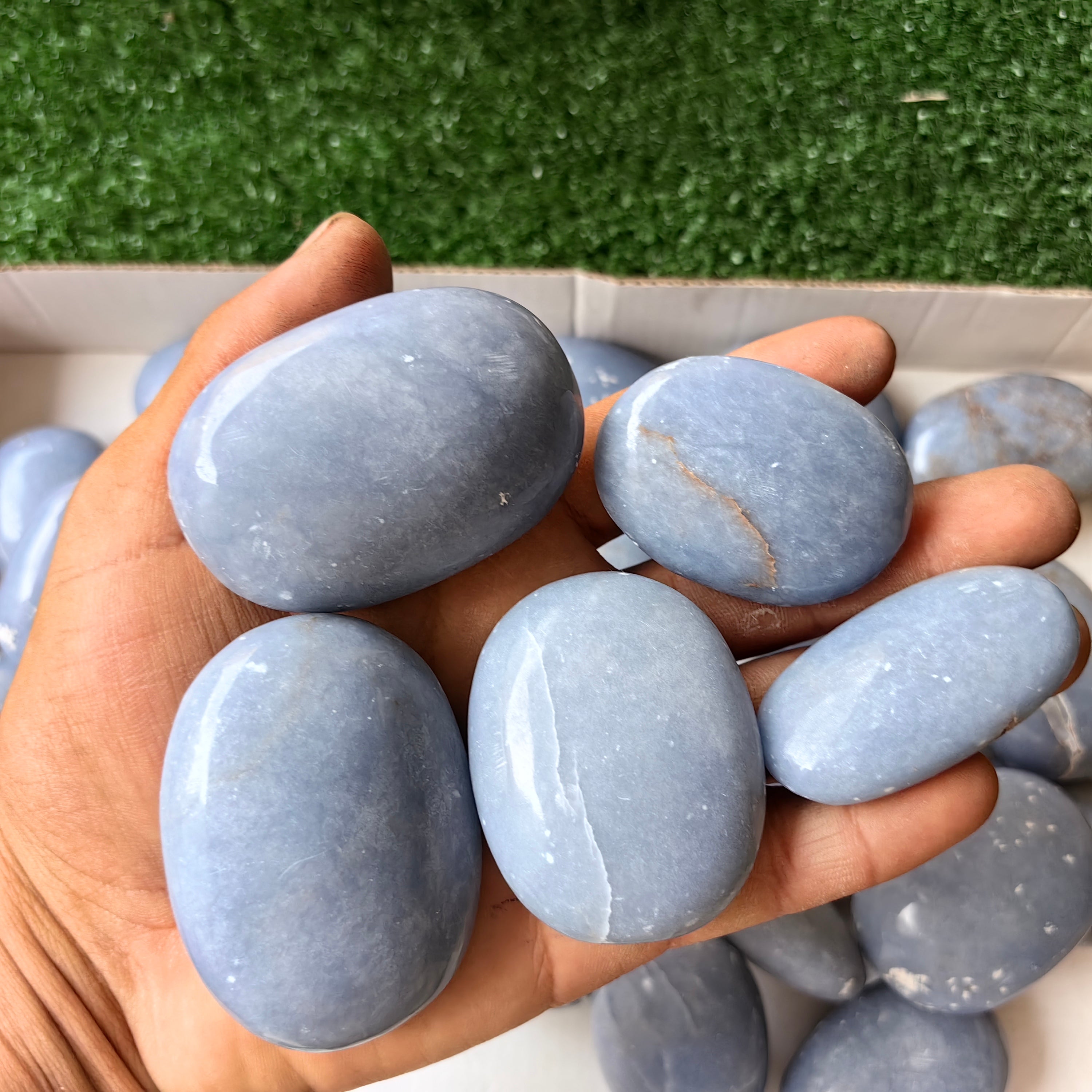 31 pc blue angelite palms