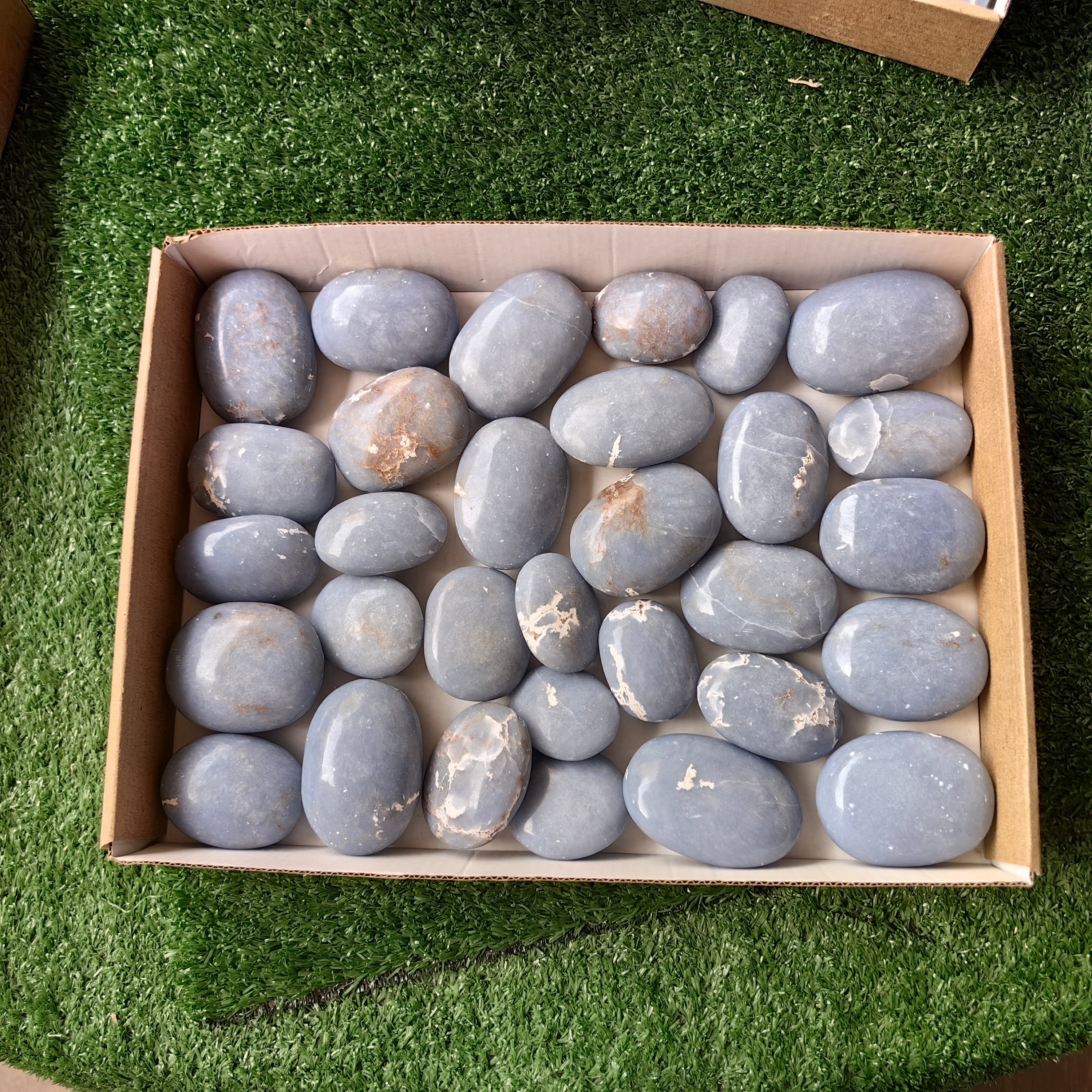 31 pc blue angelite palms