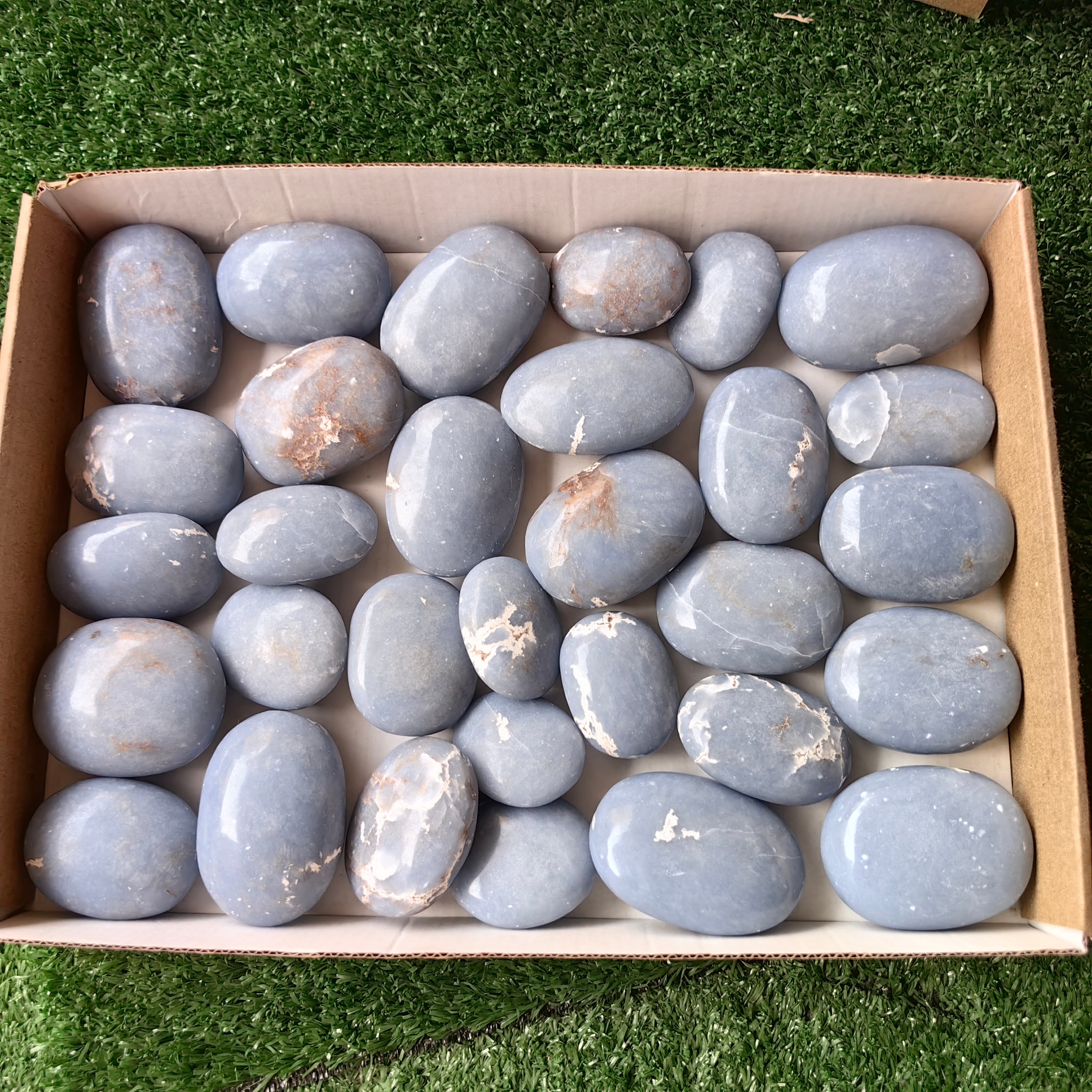 31 pc blue angelite palms
