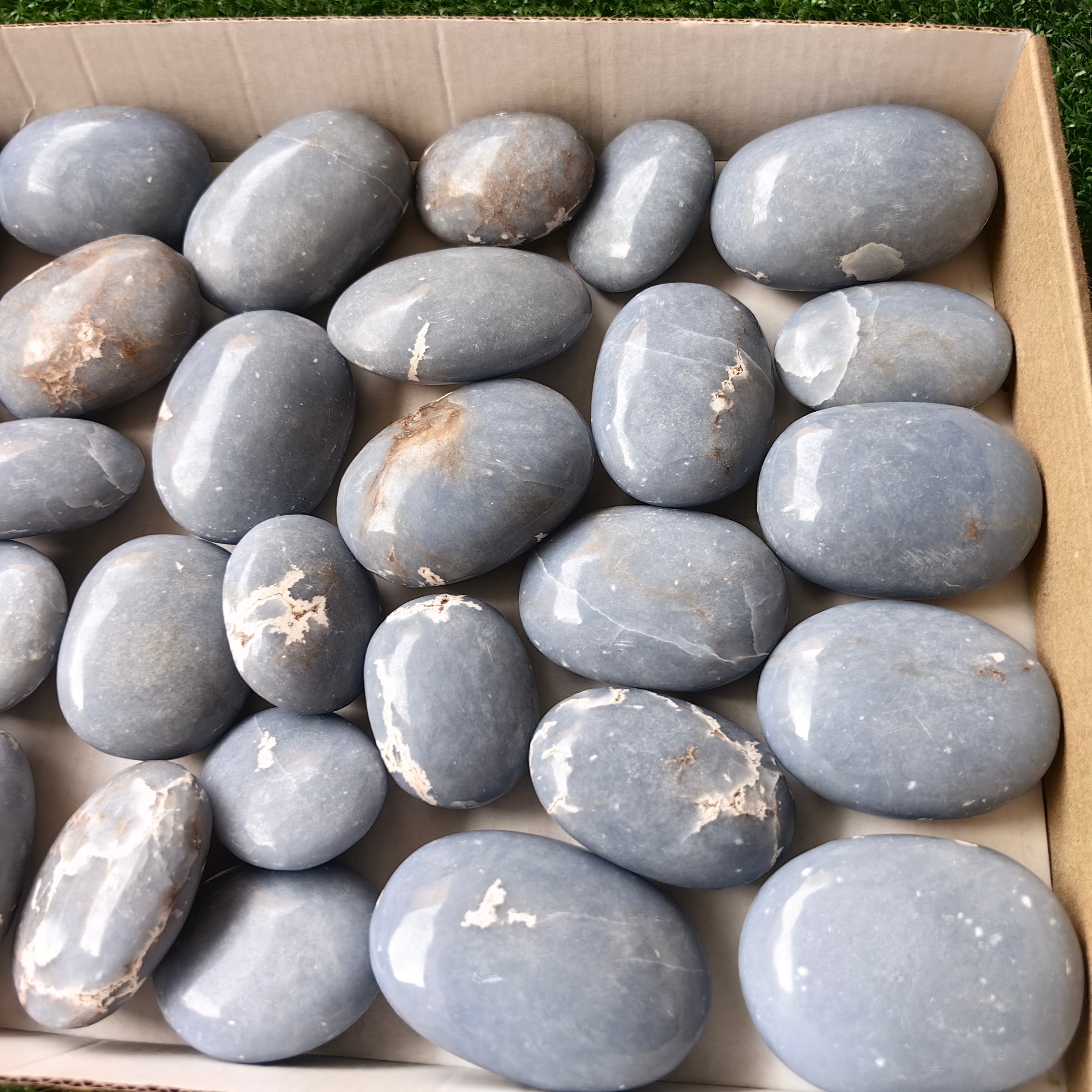 31 pc blue angelite palms