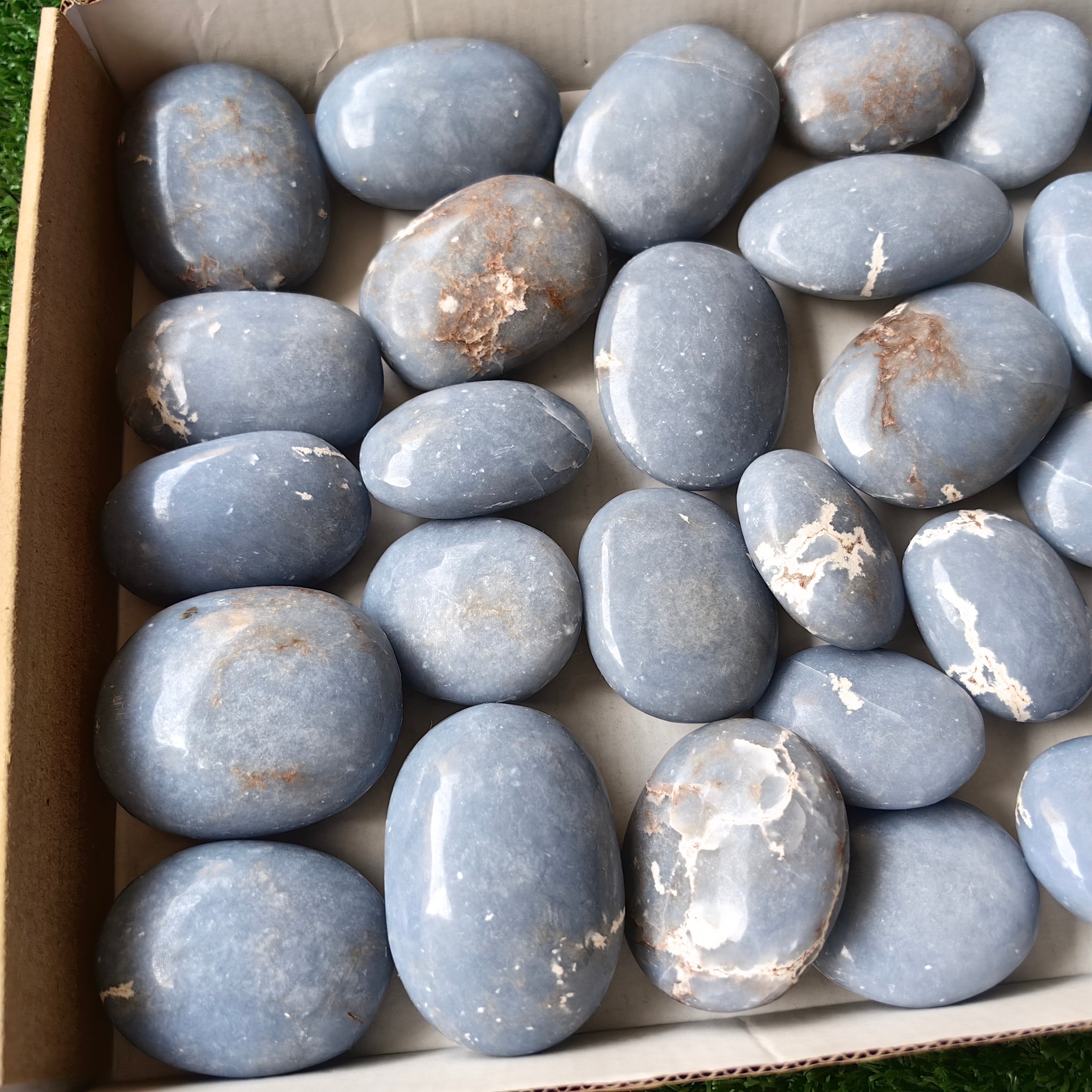 31 pc blue angelite palms