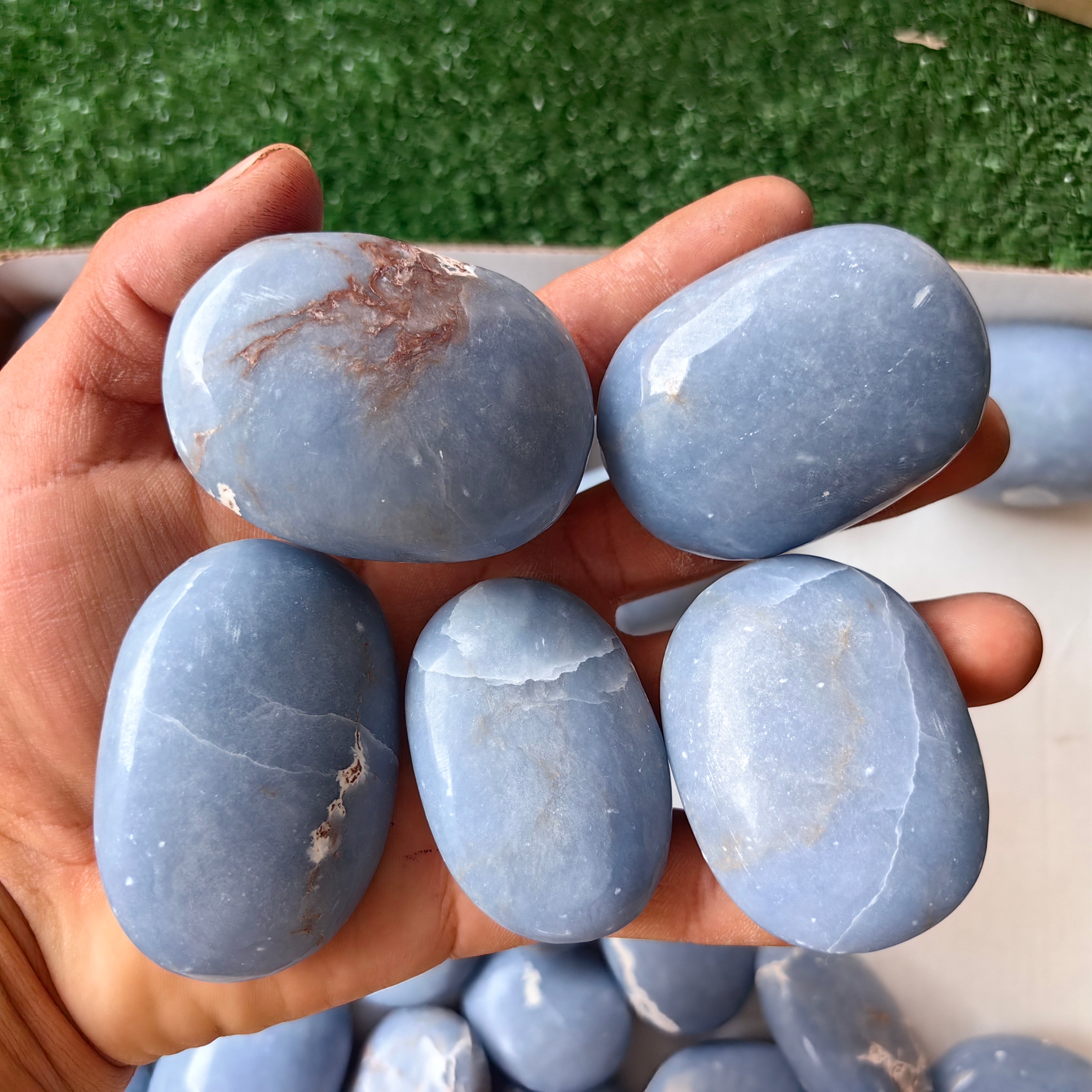 31 pc blue angelite palms