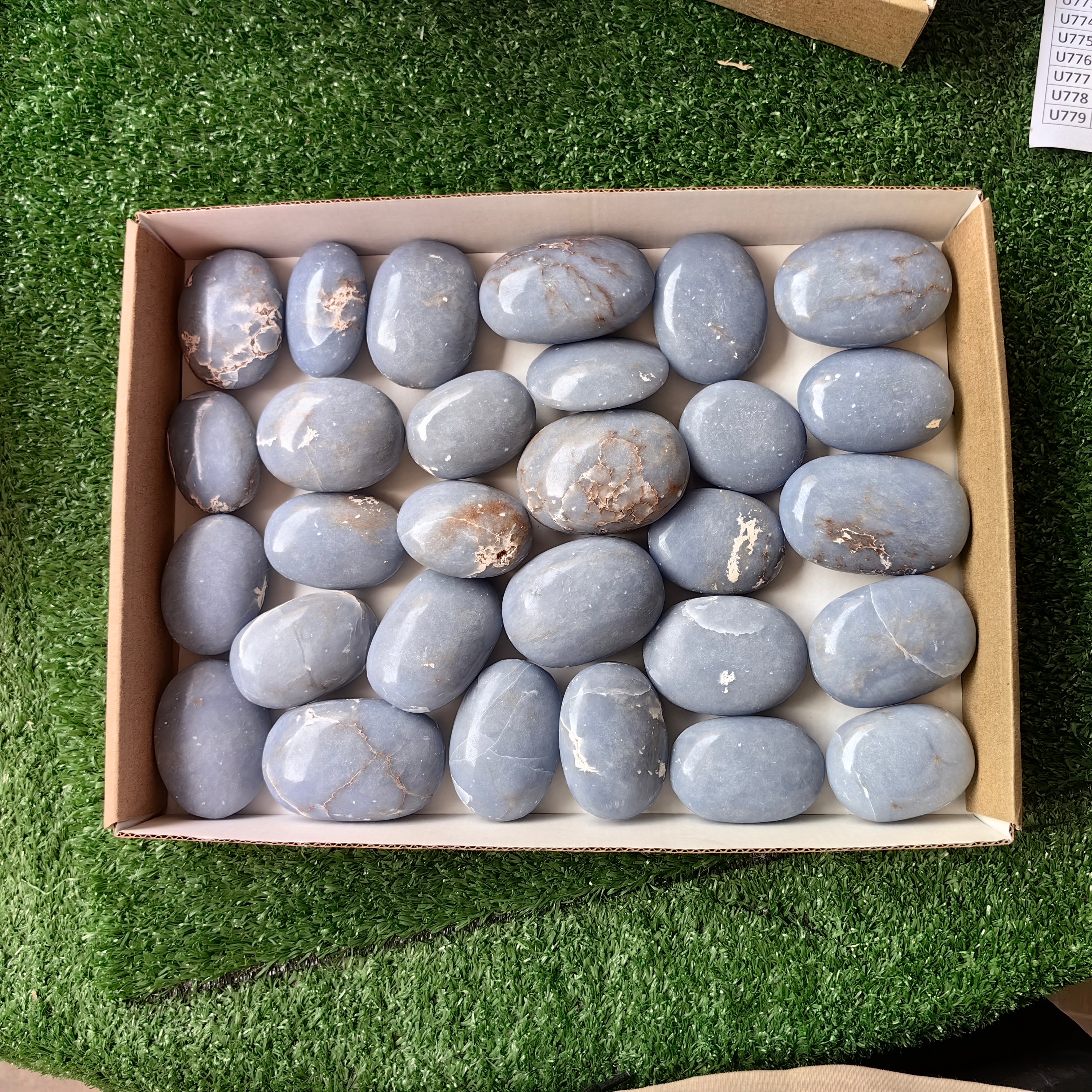 29 pc blue angelite palms