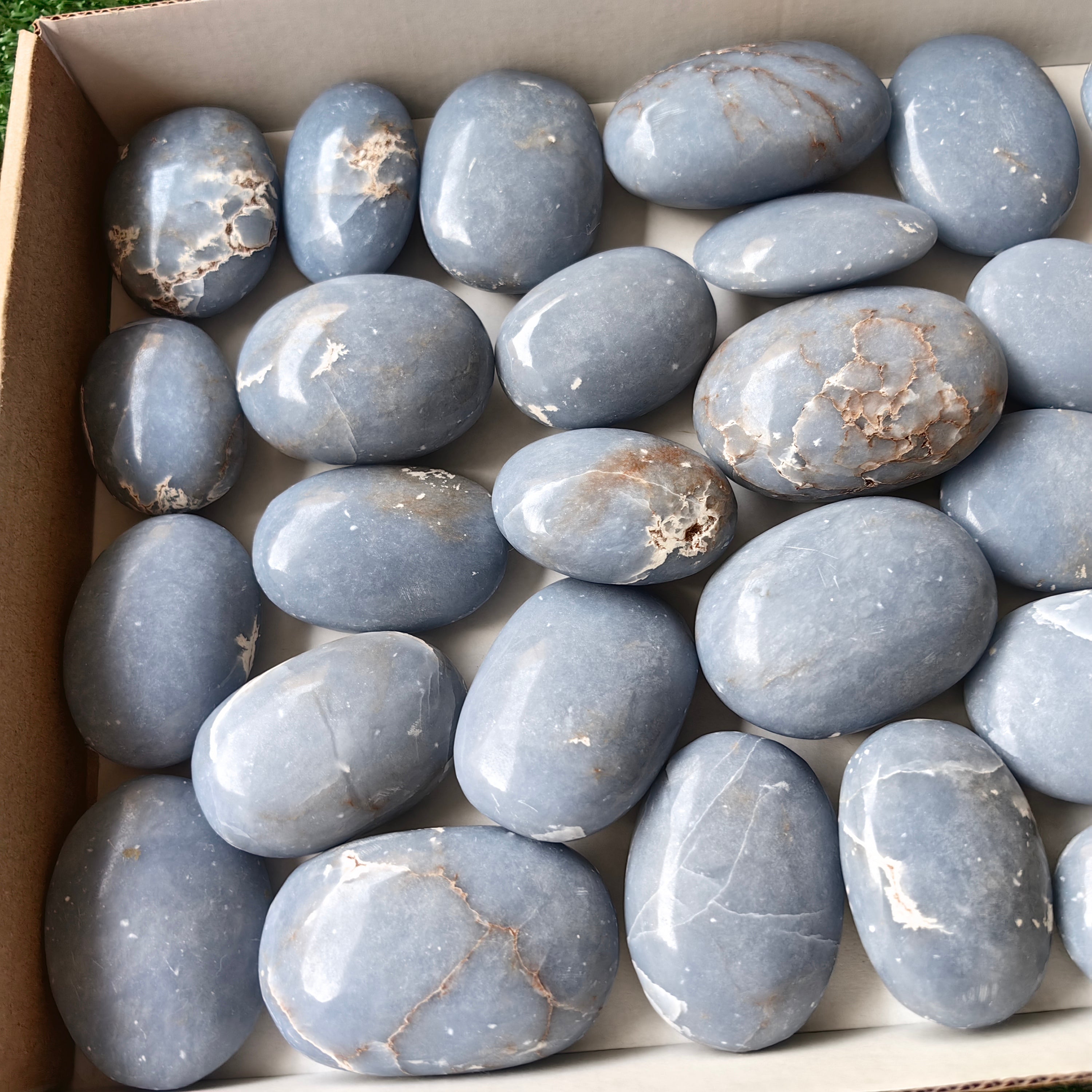 29 pc blue angelite palms