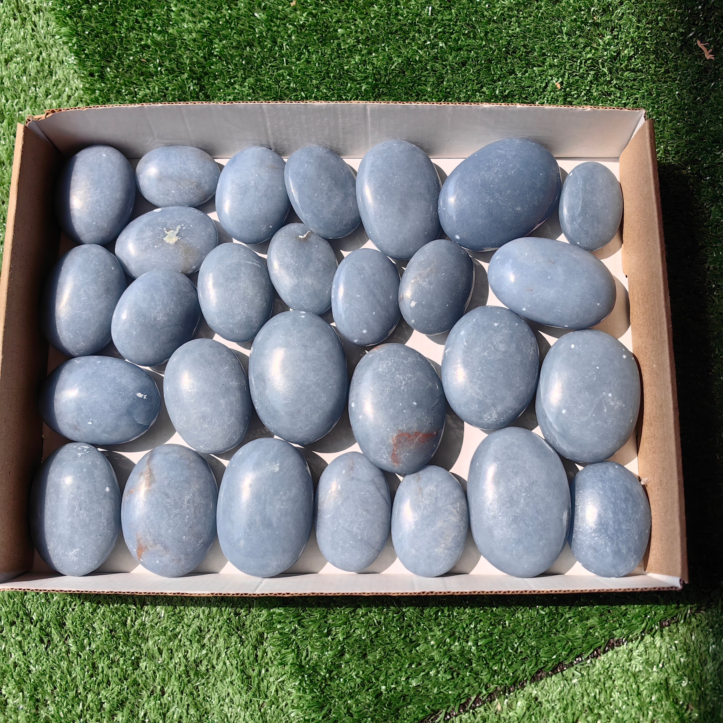 28 pc blue angelite palms