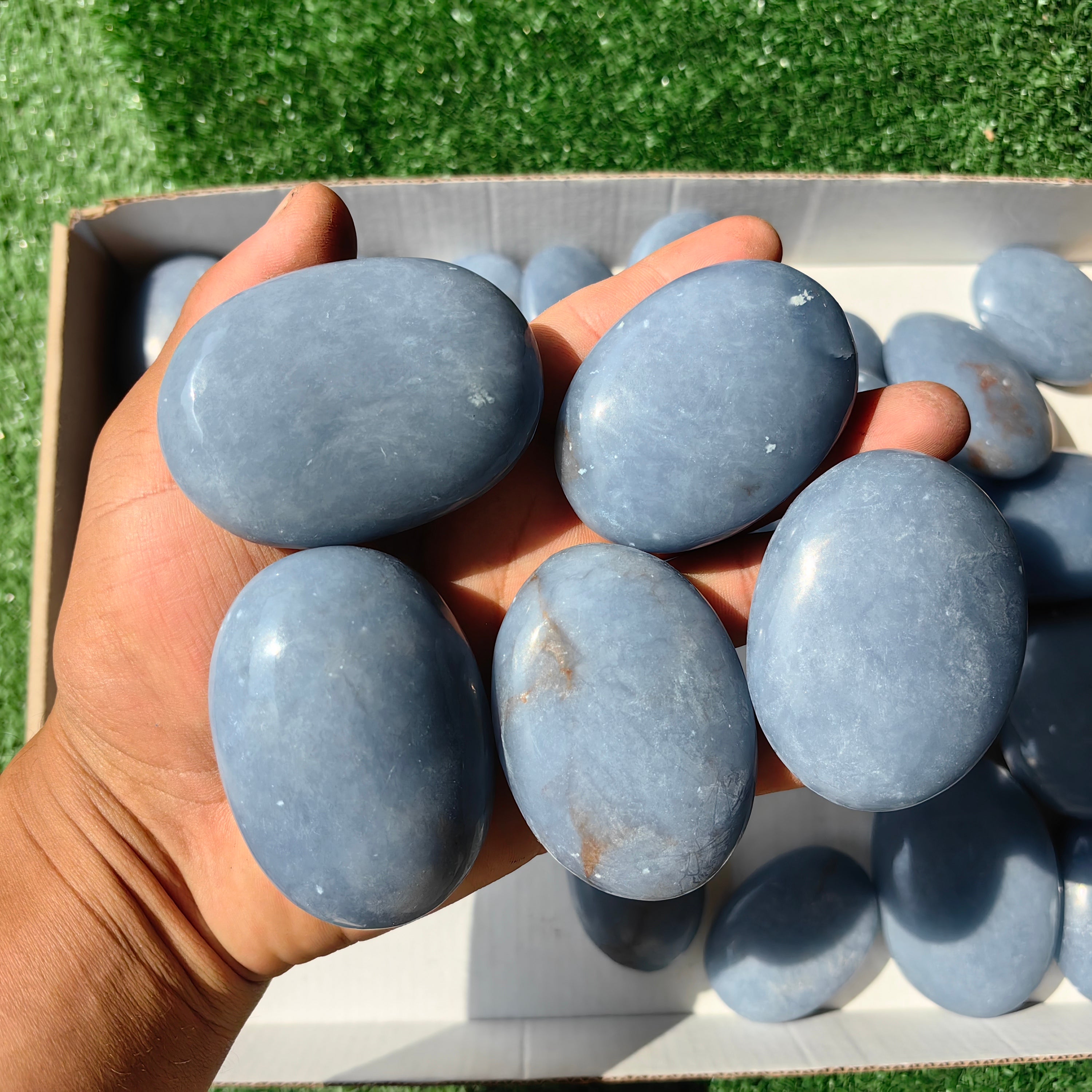 28 pc blue angelite palms