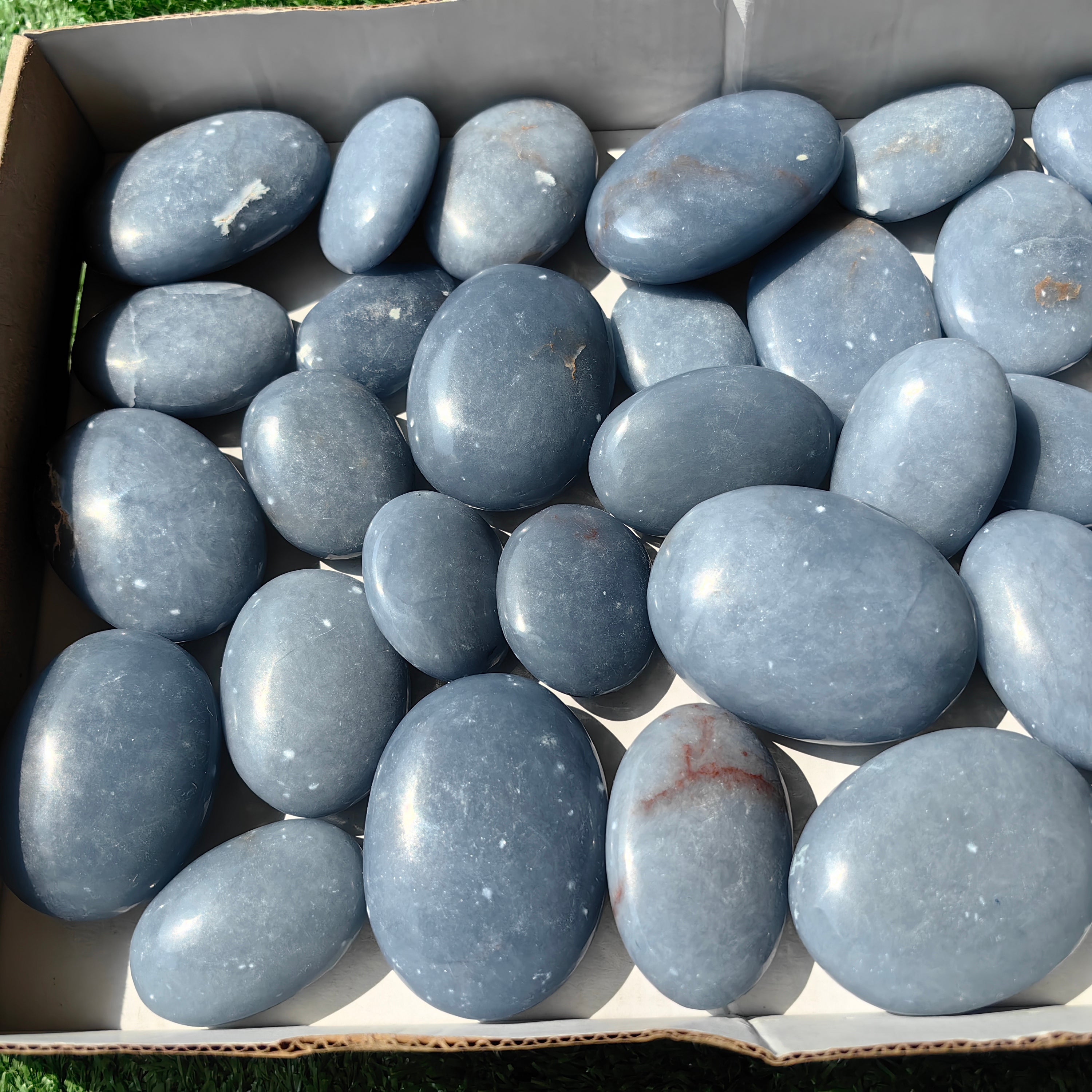 30 pc blue angelite palms