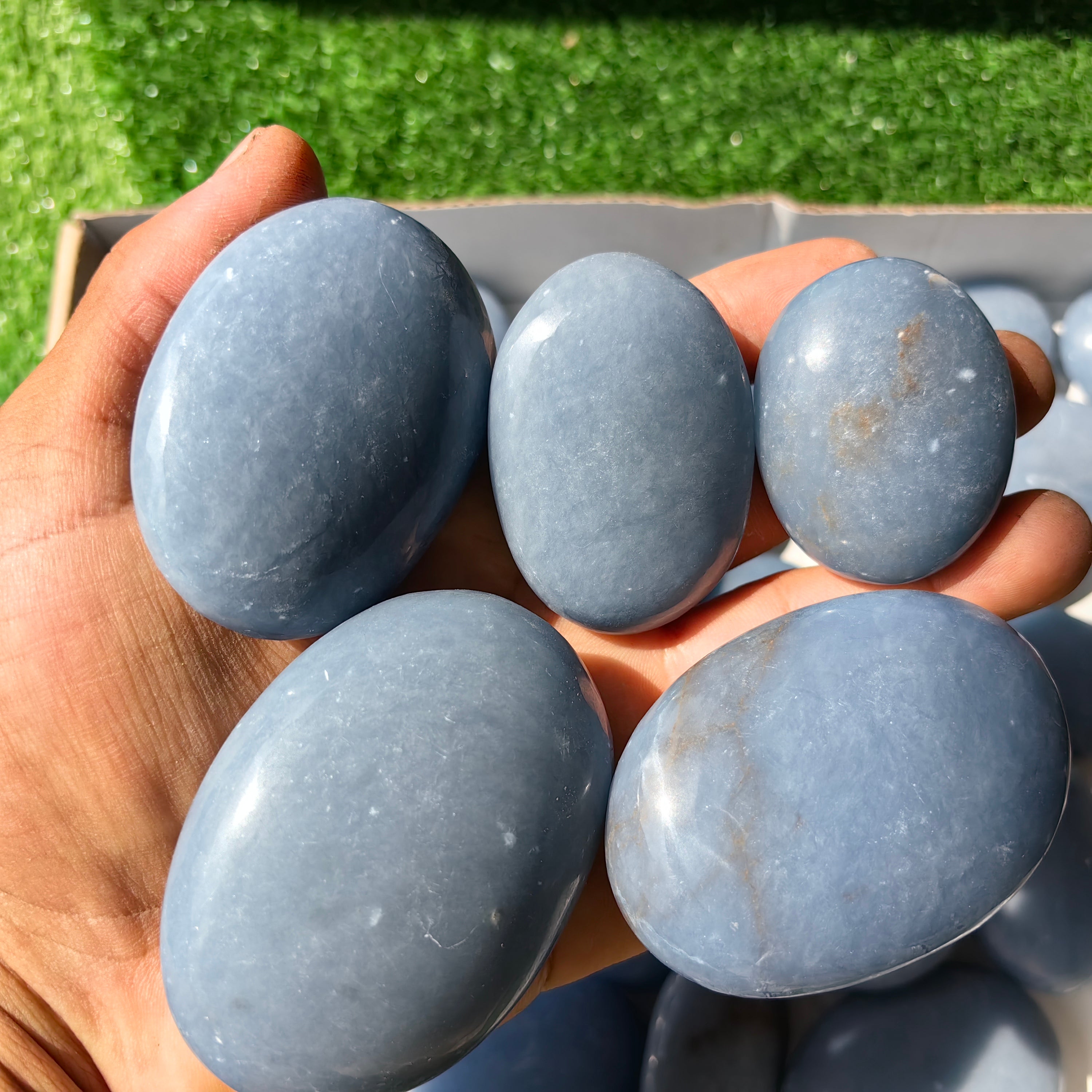 30 pc blue angelite palms