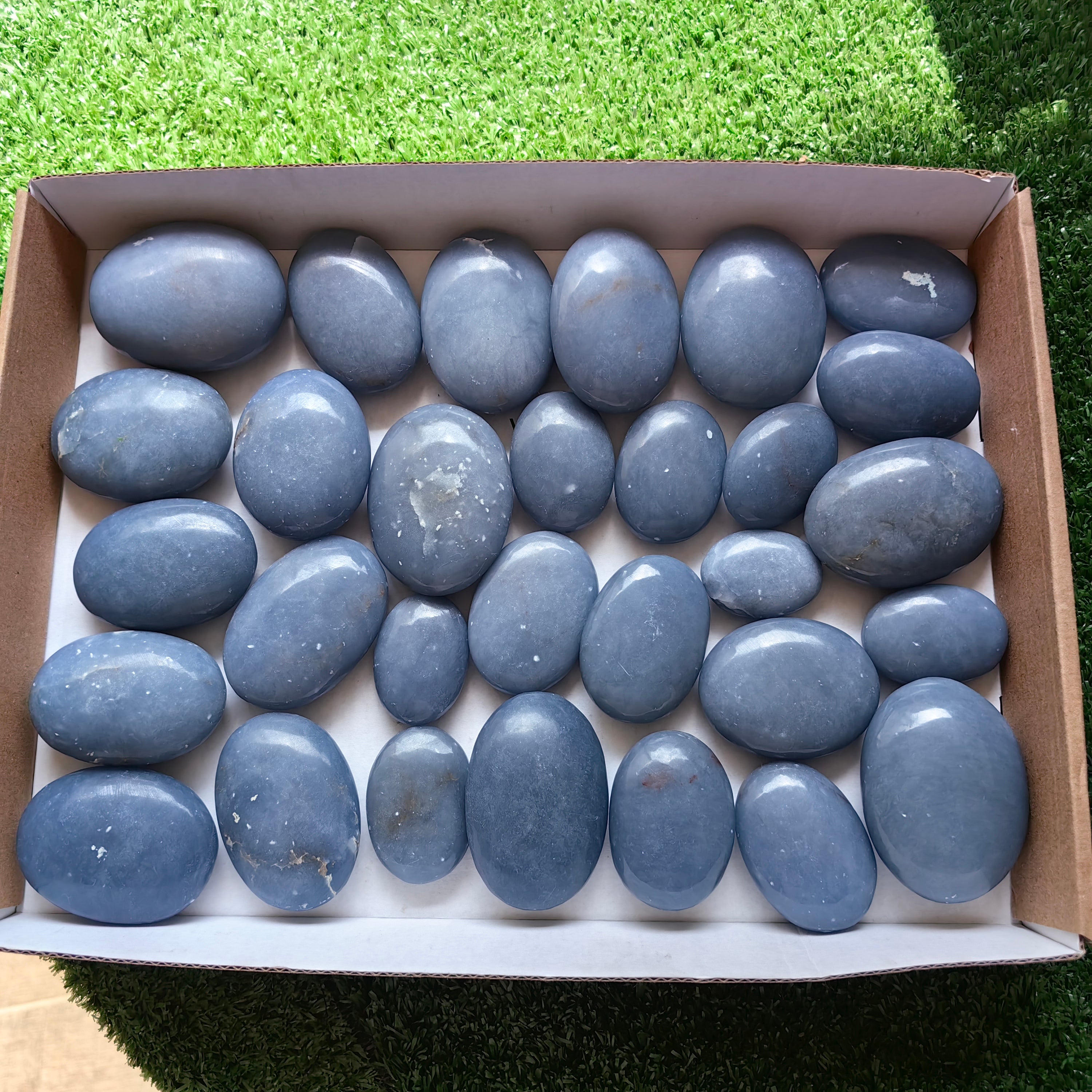 30 pc blue angelite palms
