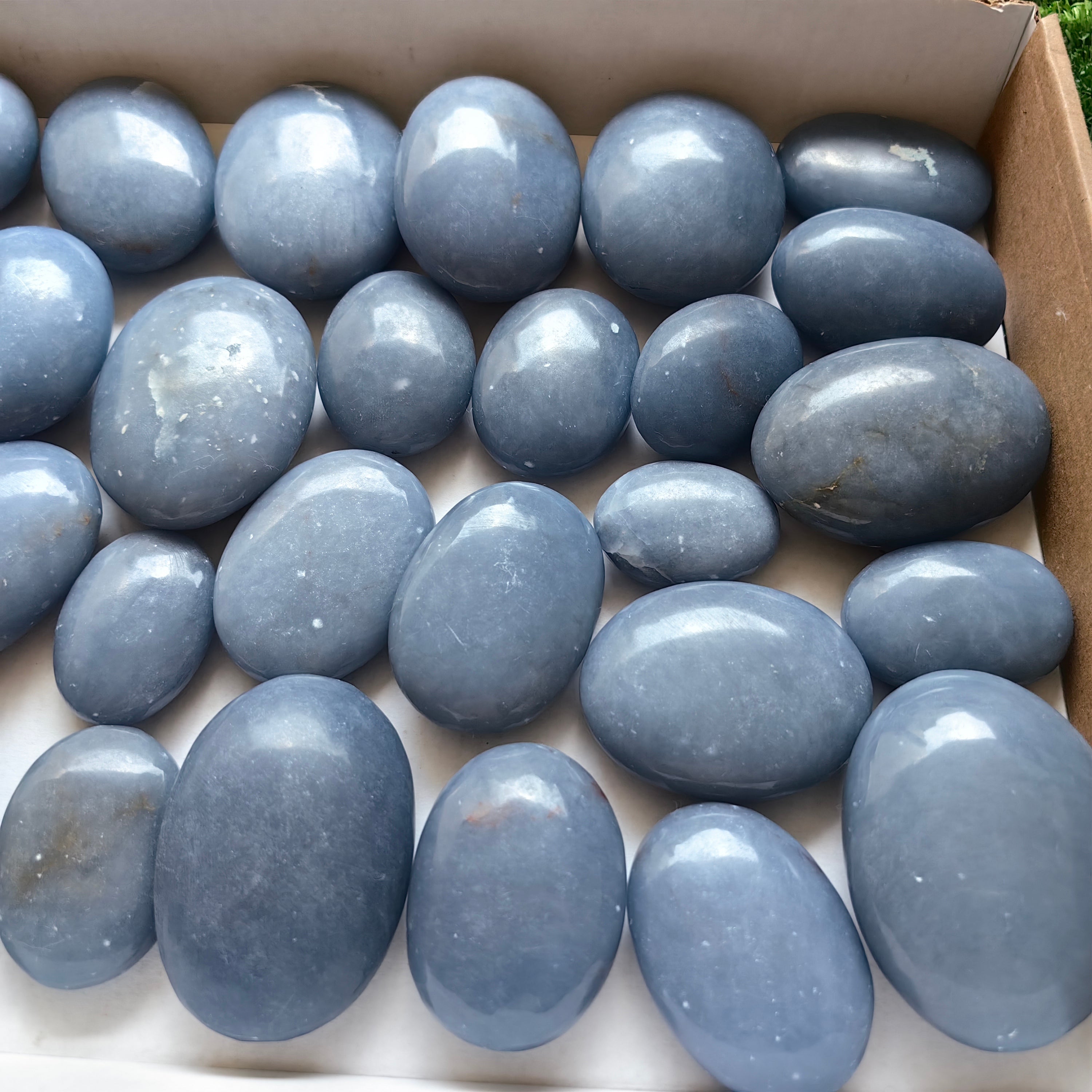 30 pc blue angelite palms