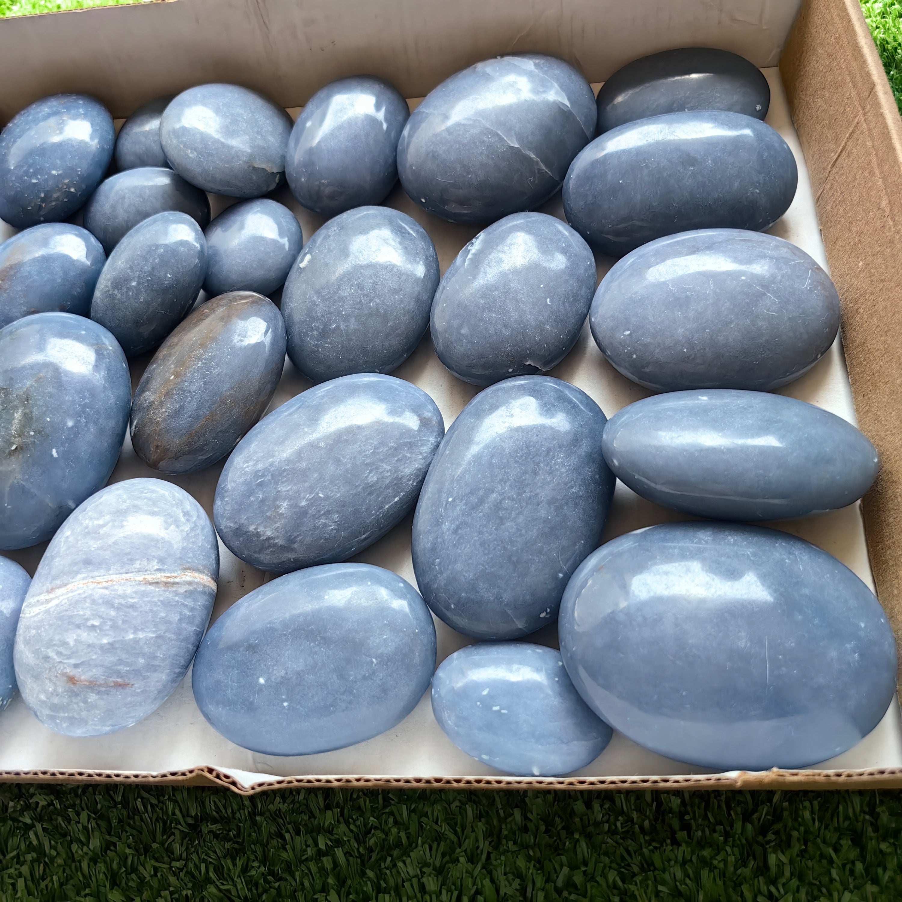 28 pc blue angelite palms
