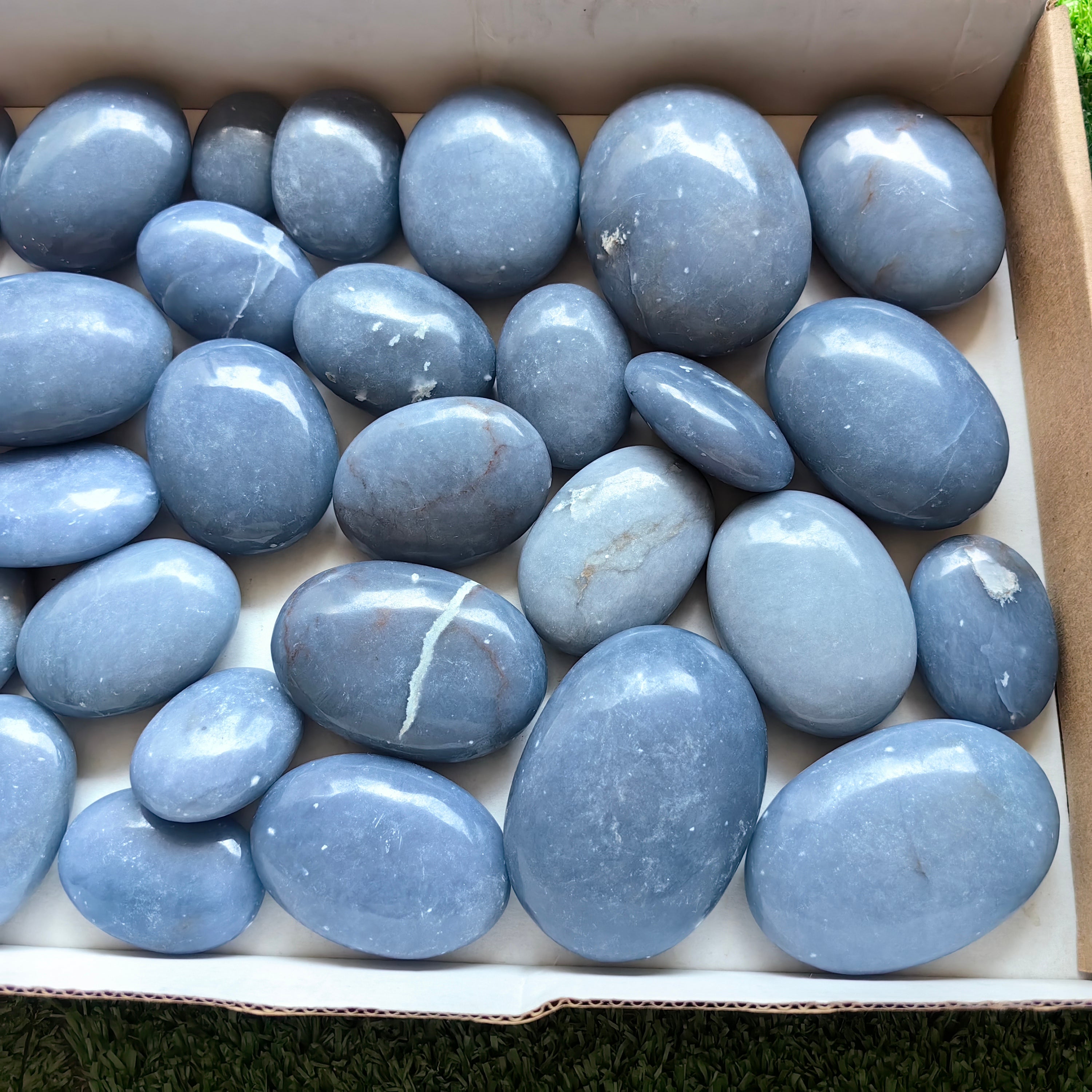 29 pc blue angelite palms