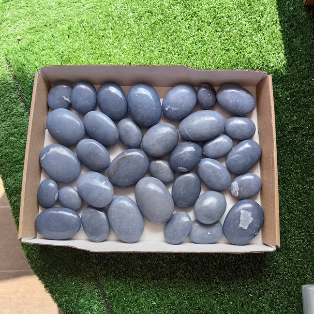 31 pc blue angelite palms