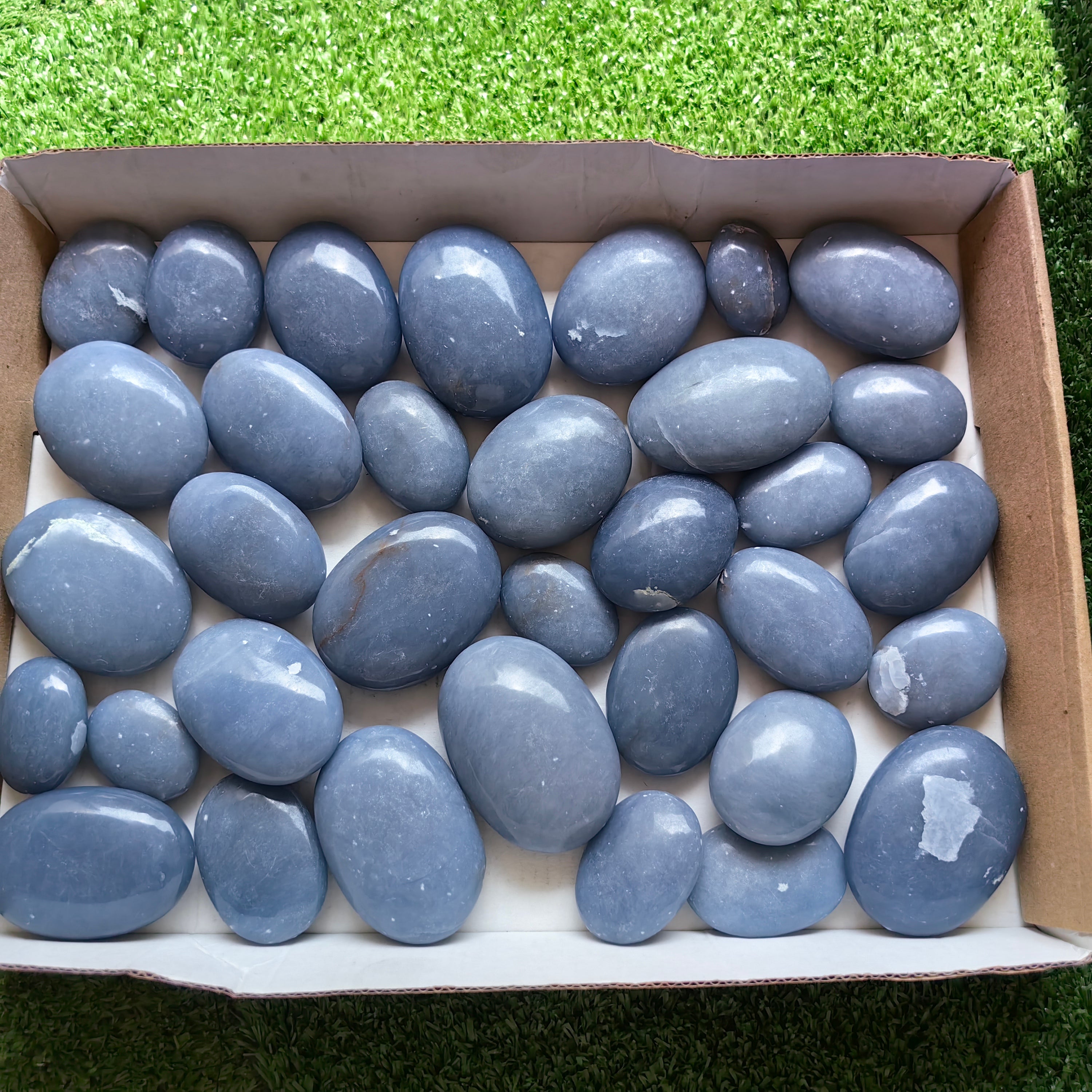 31 pc blue angelite palms