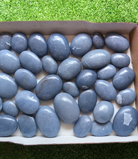 31 pc blue angelite palms