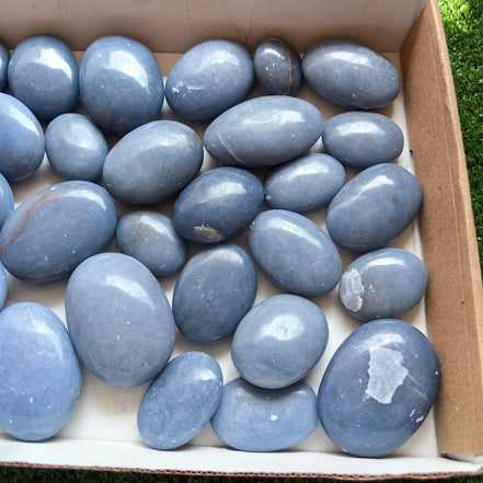 31 pc blue angelite palms